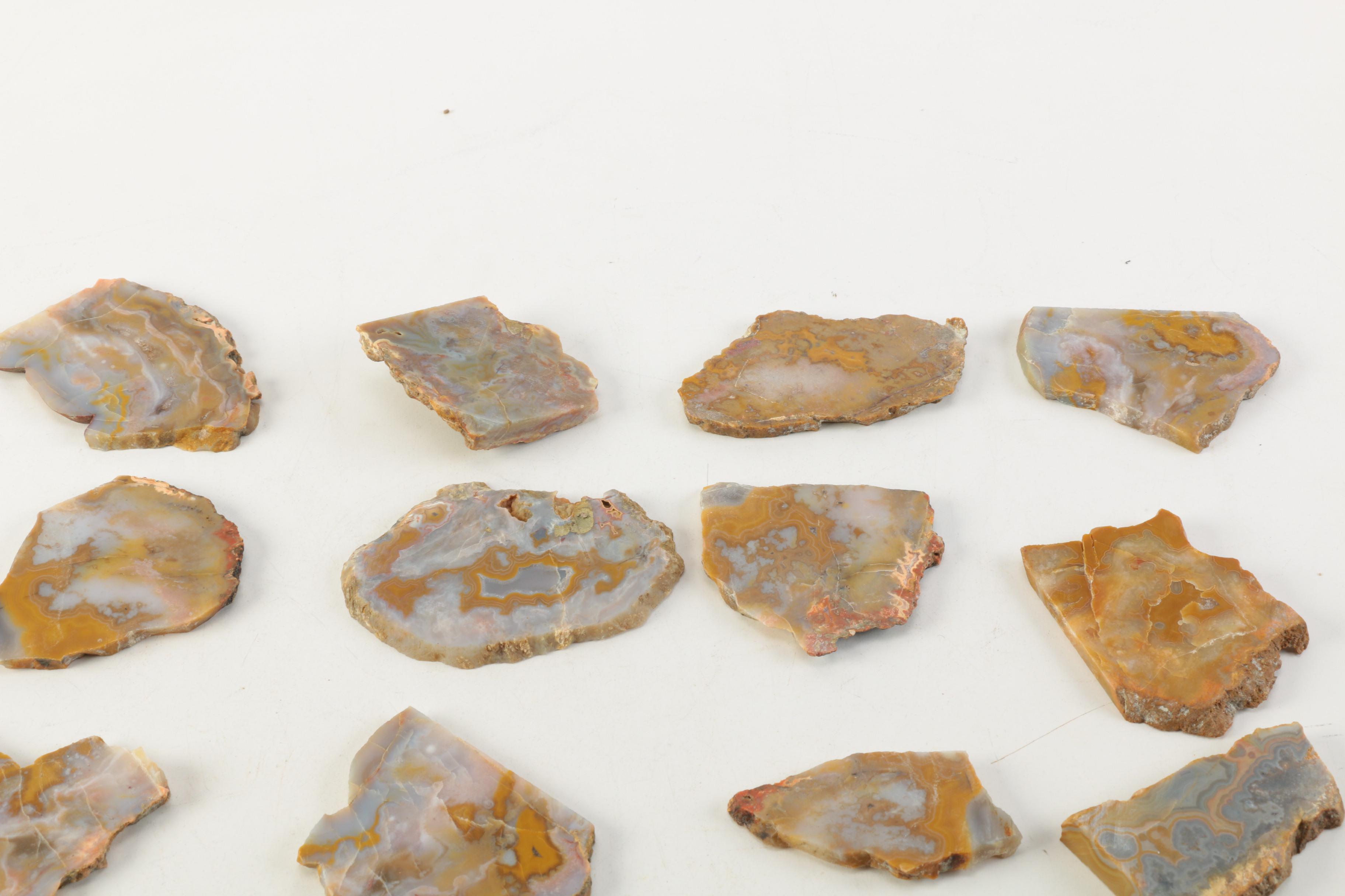 Kentucky Agate and Chert Slabs