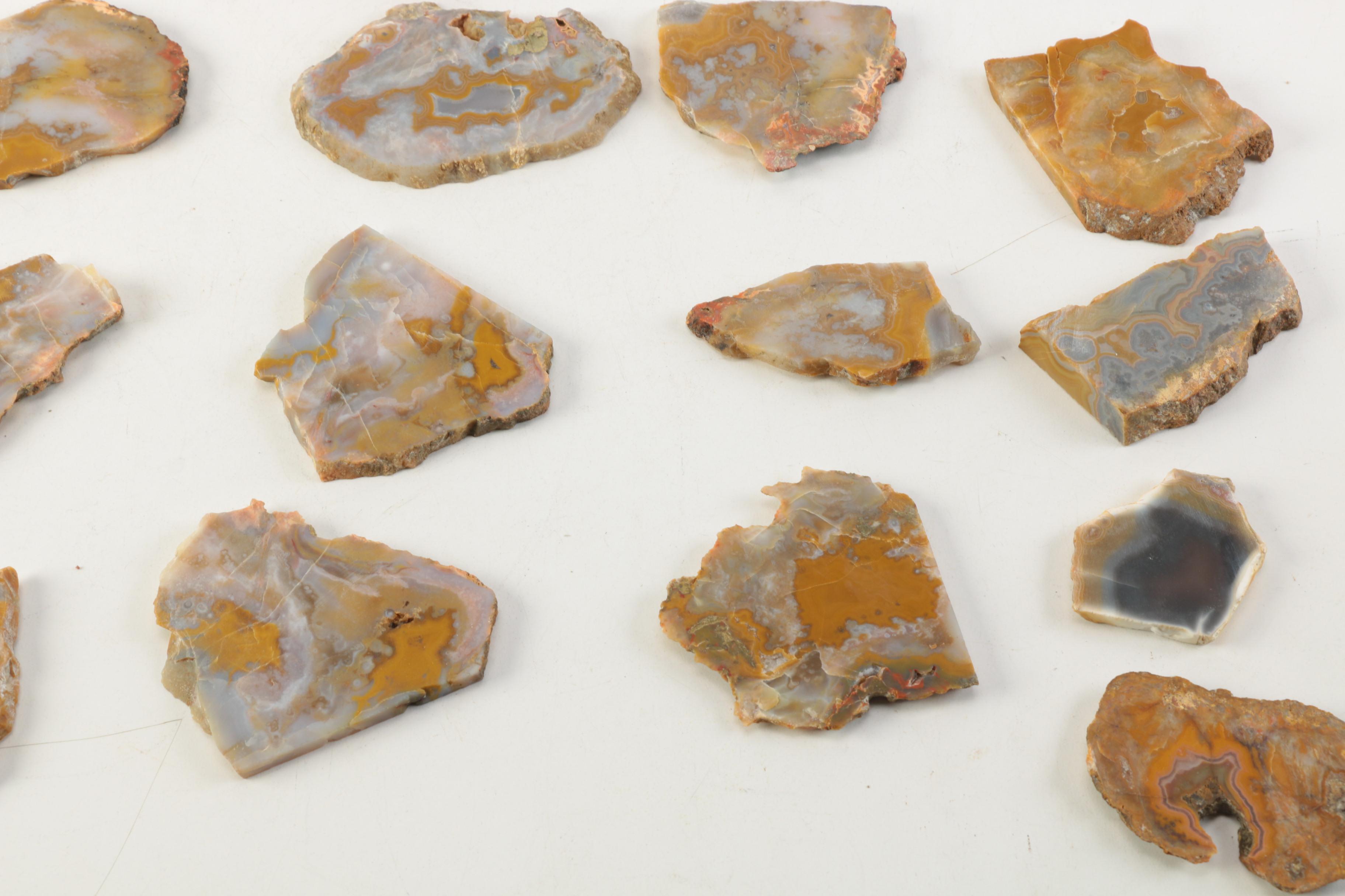 Kentucky Agate and Chert Slabs