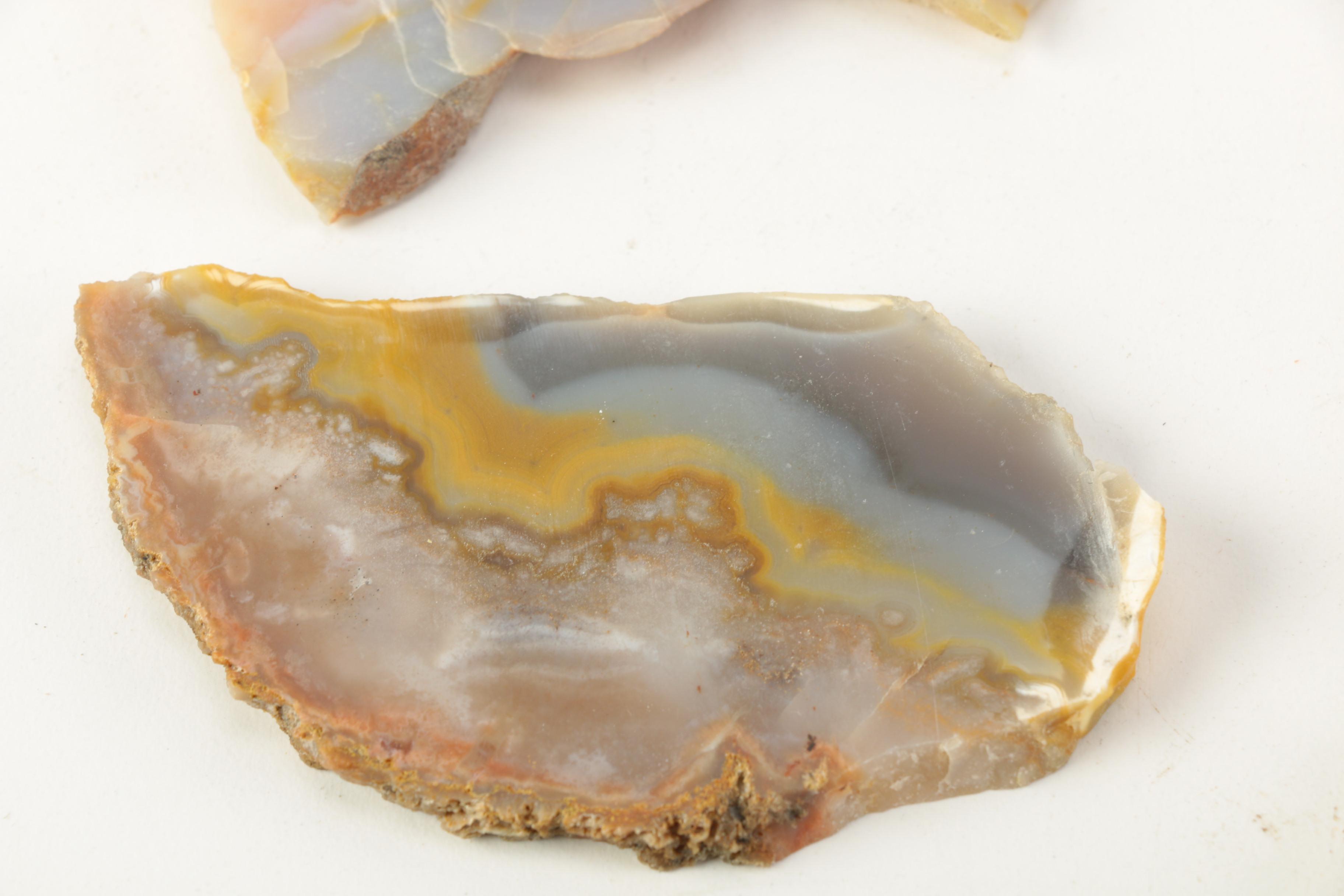 Kentucky Agate and Chert Slabs