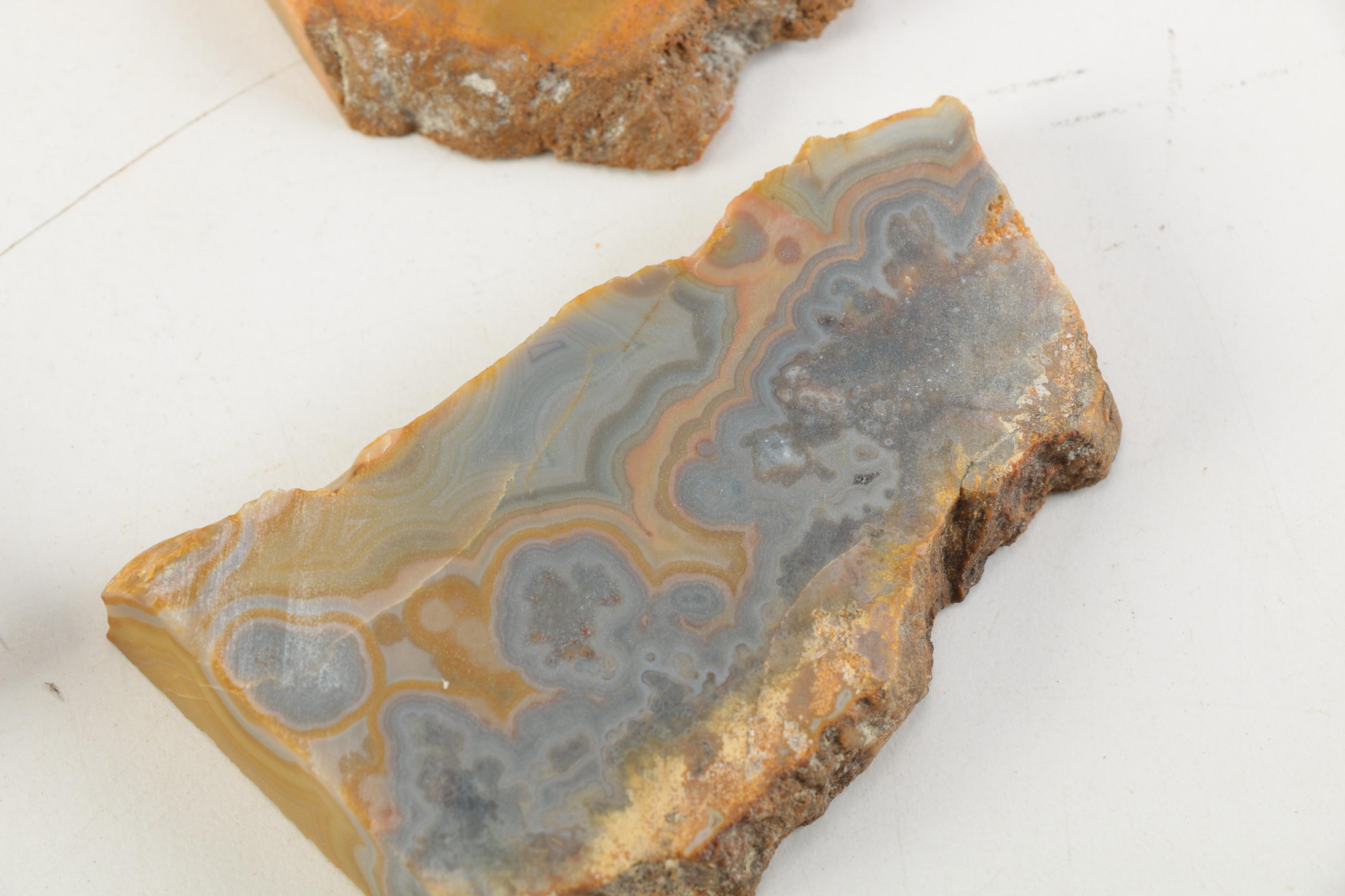 Kentucky Agate and Chert Slabs