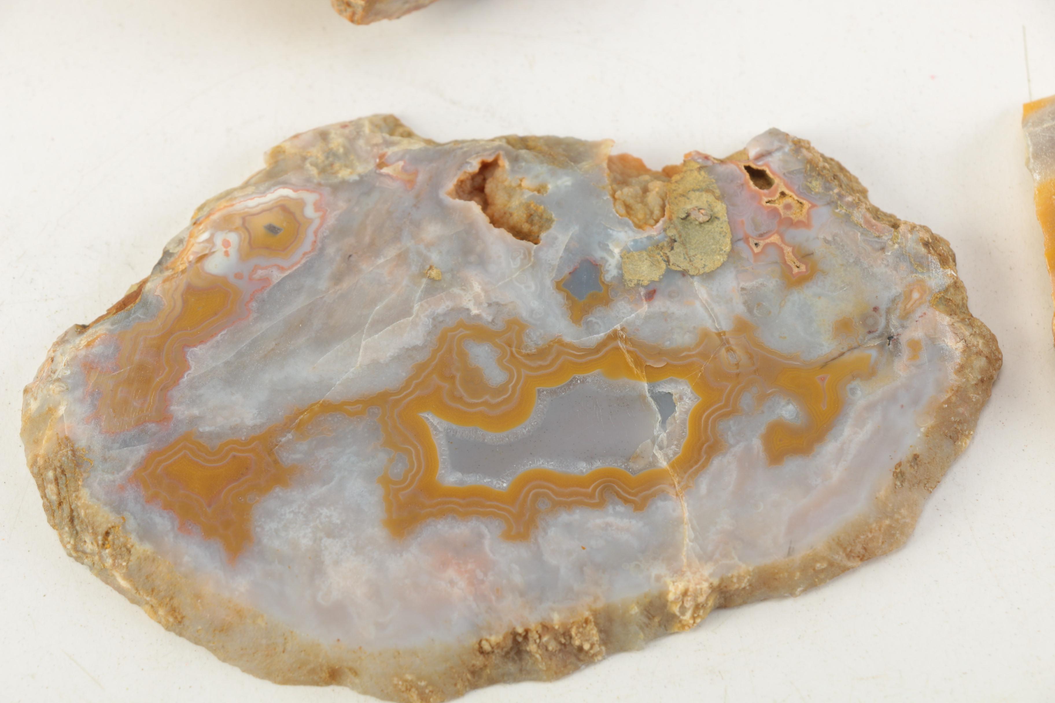 Kentucky Agate and Chert Slabs