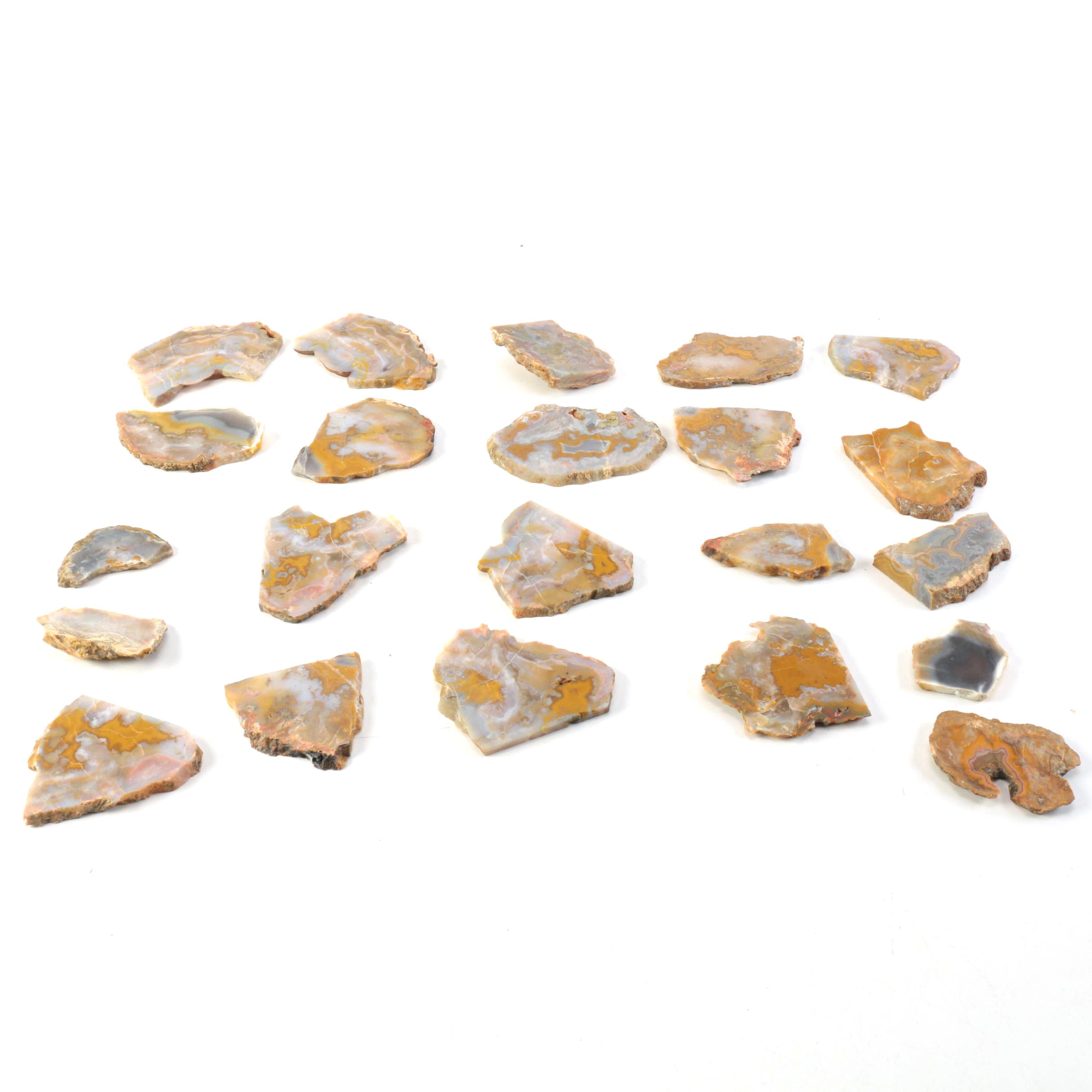 Kentucky Agate and Chert Slabs