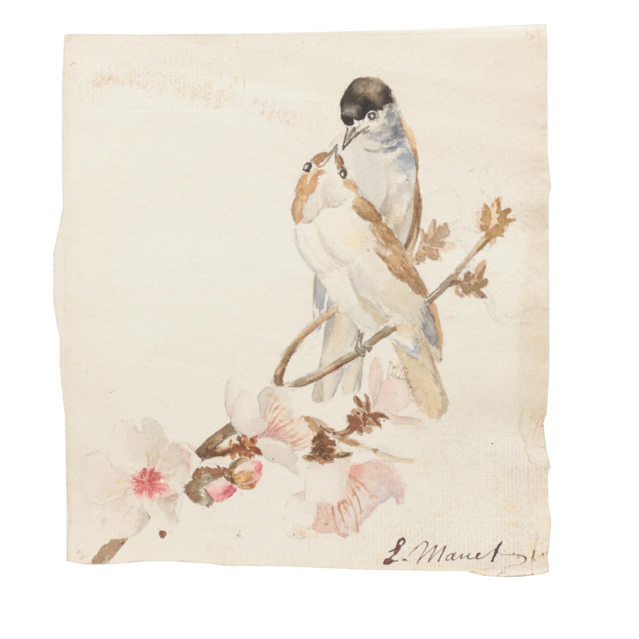 L. Manet Watercolor Painting on Laid Paper of Birds
