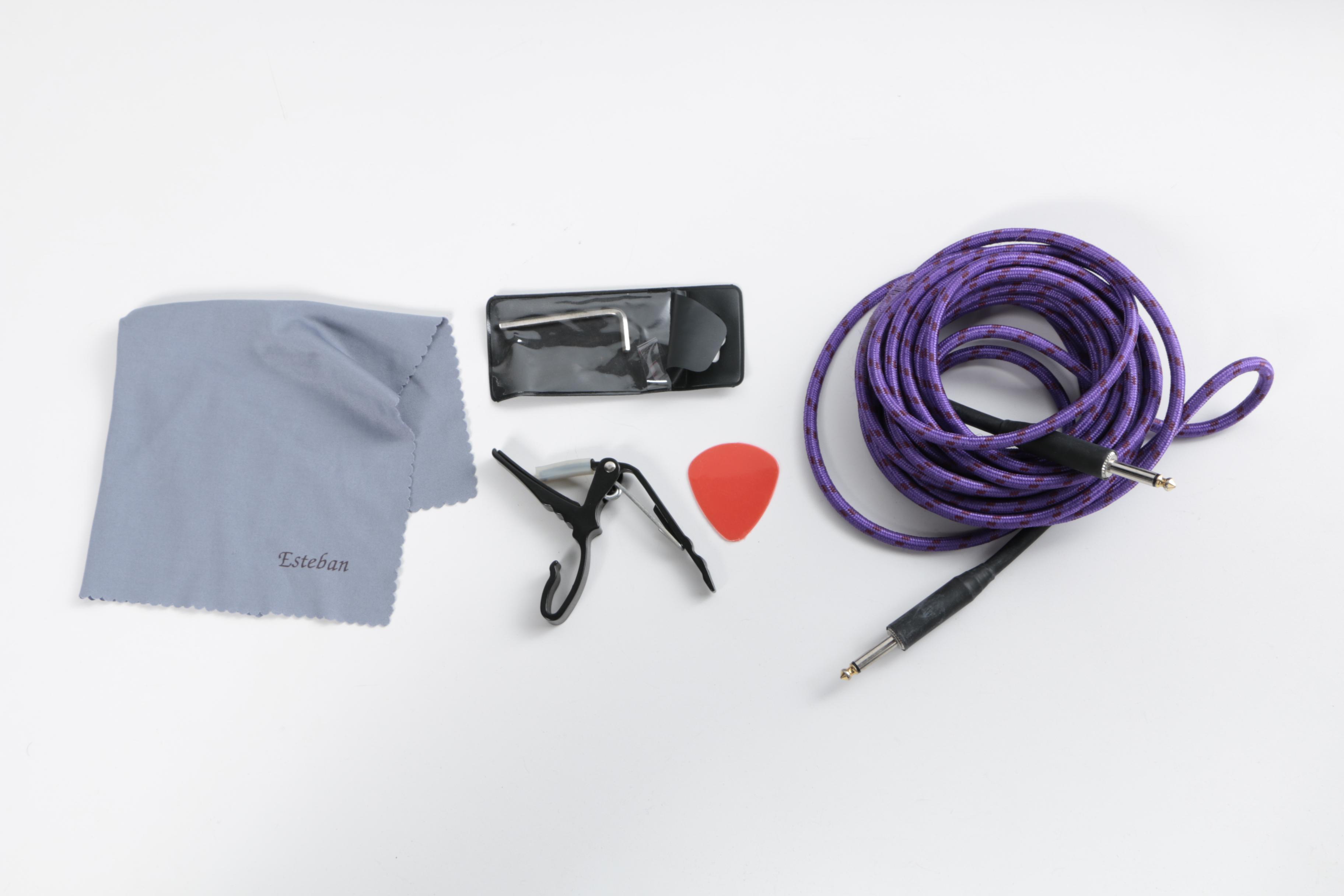 Esteban American Legacy "Midnight Steel" Limited Edition Acoustic/Electric Guitar