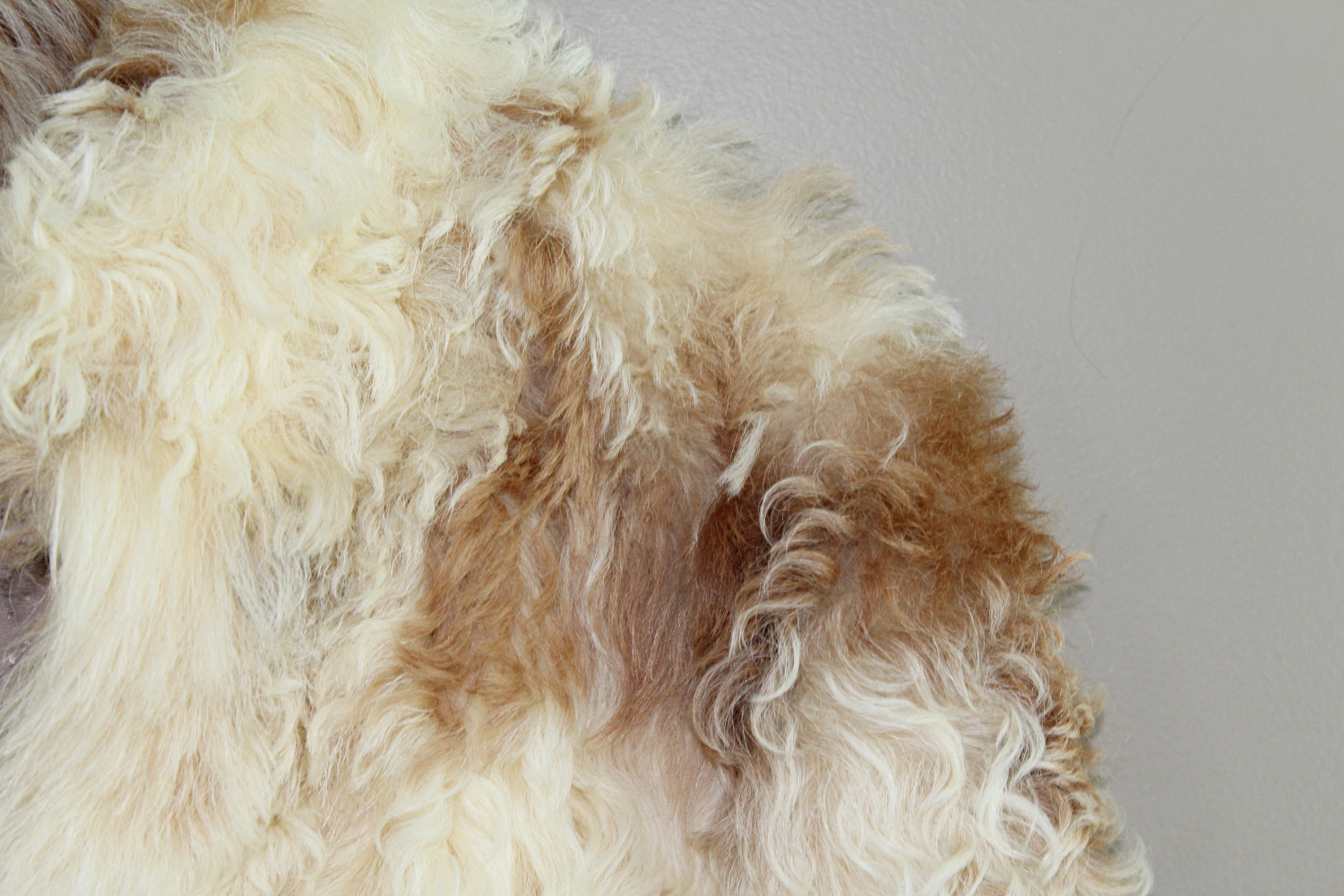 Stanley Rich Lamb Fur Coat