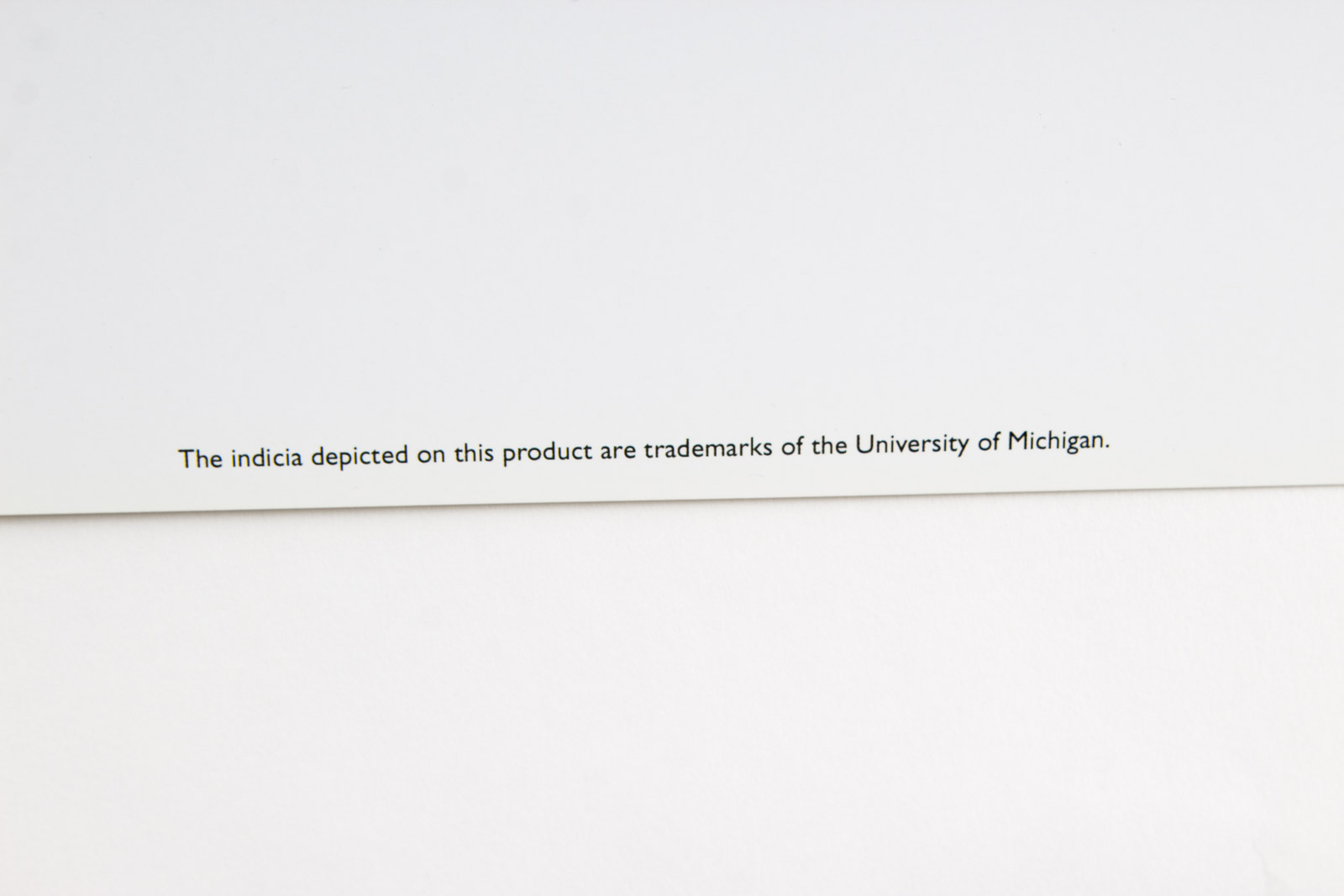 Michigan Wolverine Football Themed Looney Tunes "Touchdown Taz" Lithograph