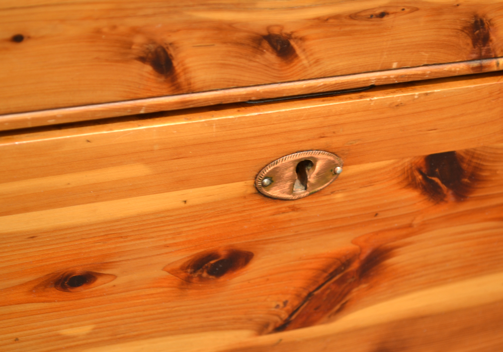 Vintage Red Cedar Chest by Seaburg