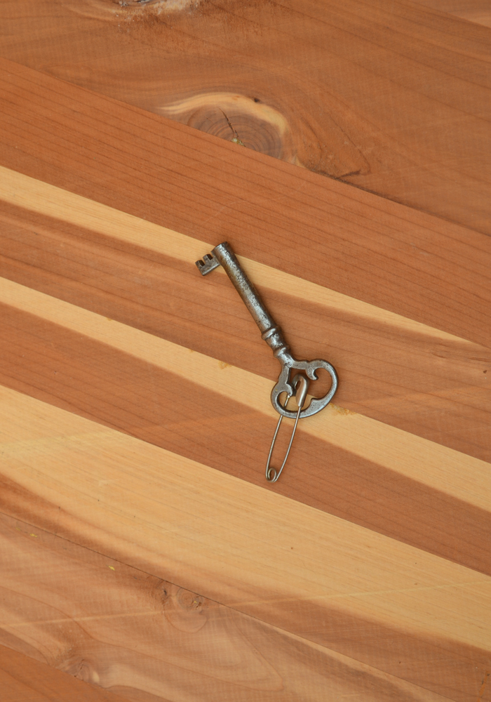 Vintage Red Cedar Chest by Seaburg