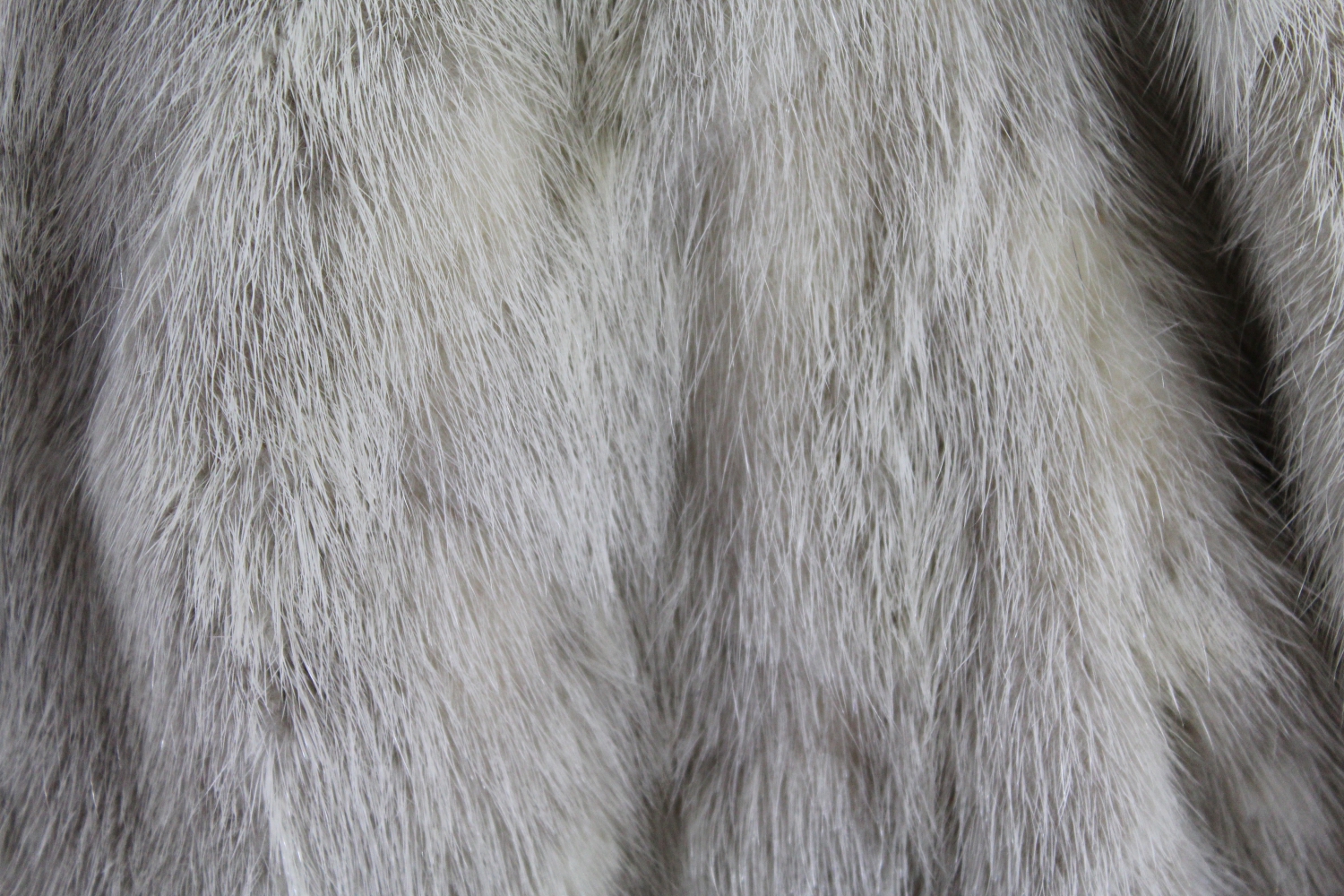 N.H. Rosenthal Mink Fur Coat