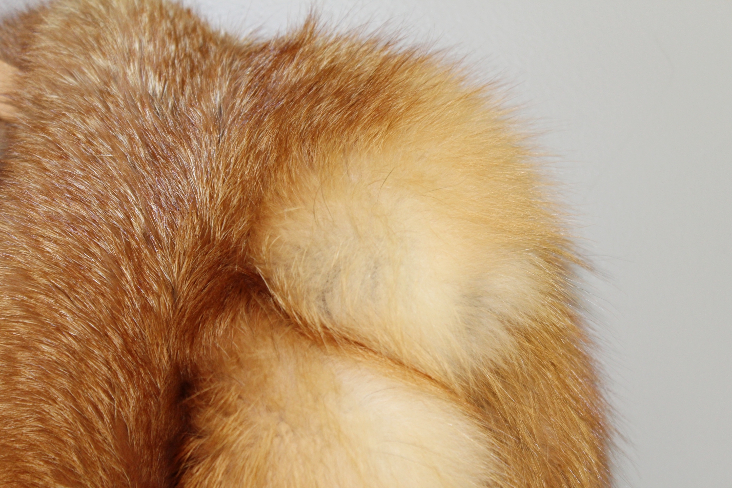 Stanley Rich Red Fox Fur Coat