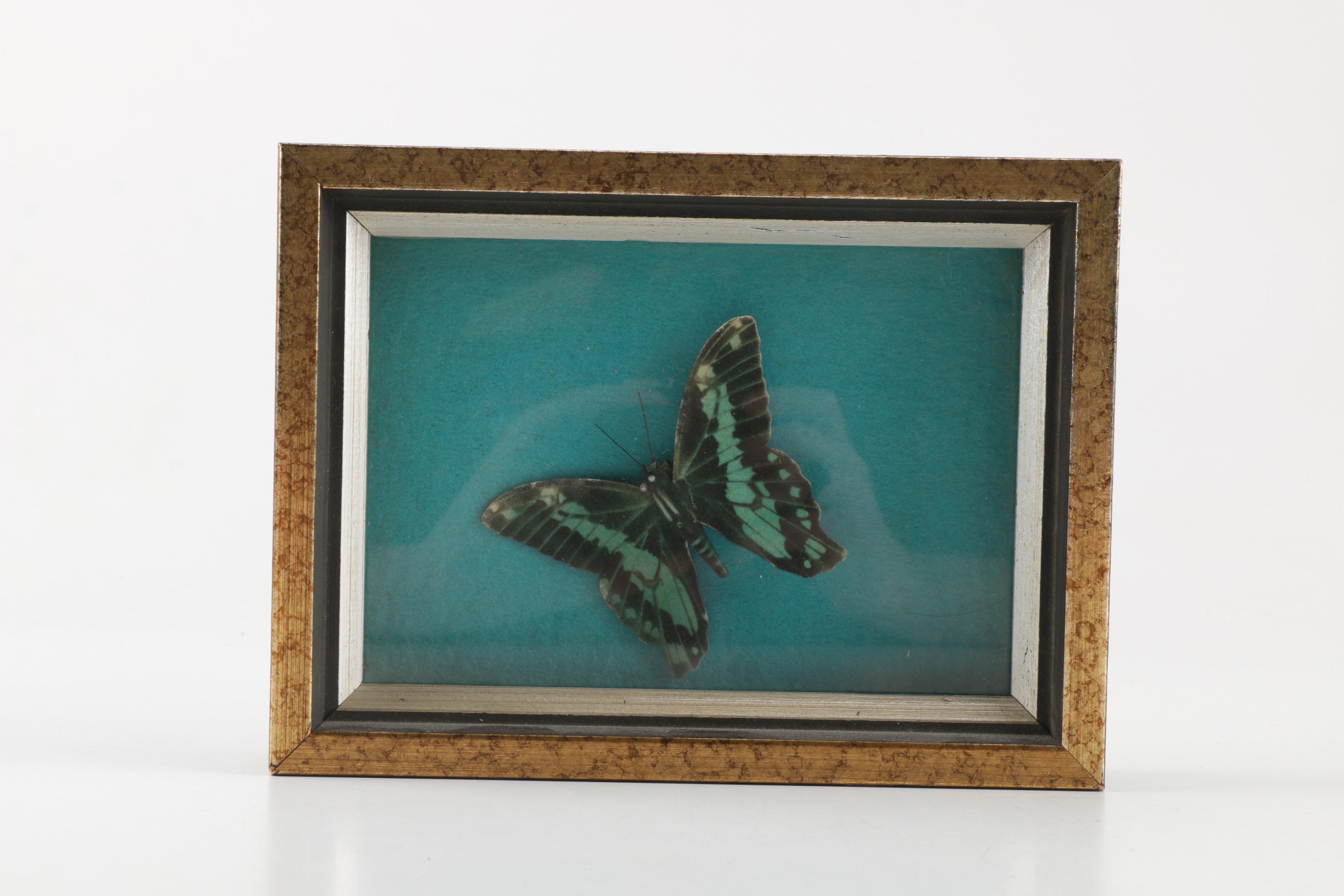 Assorted Decor Items