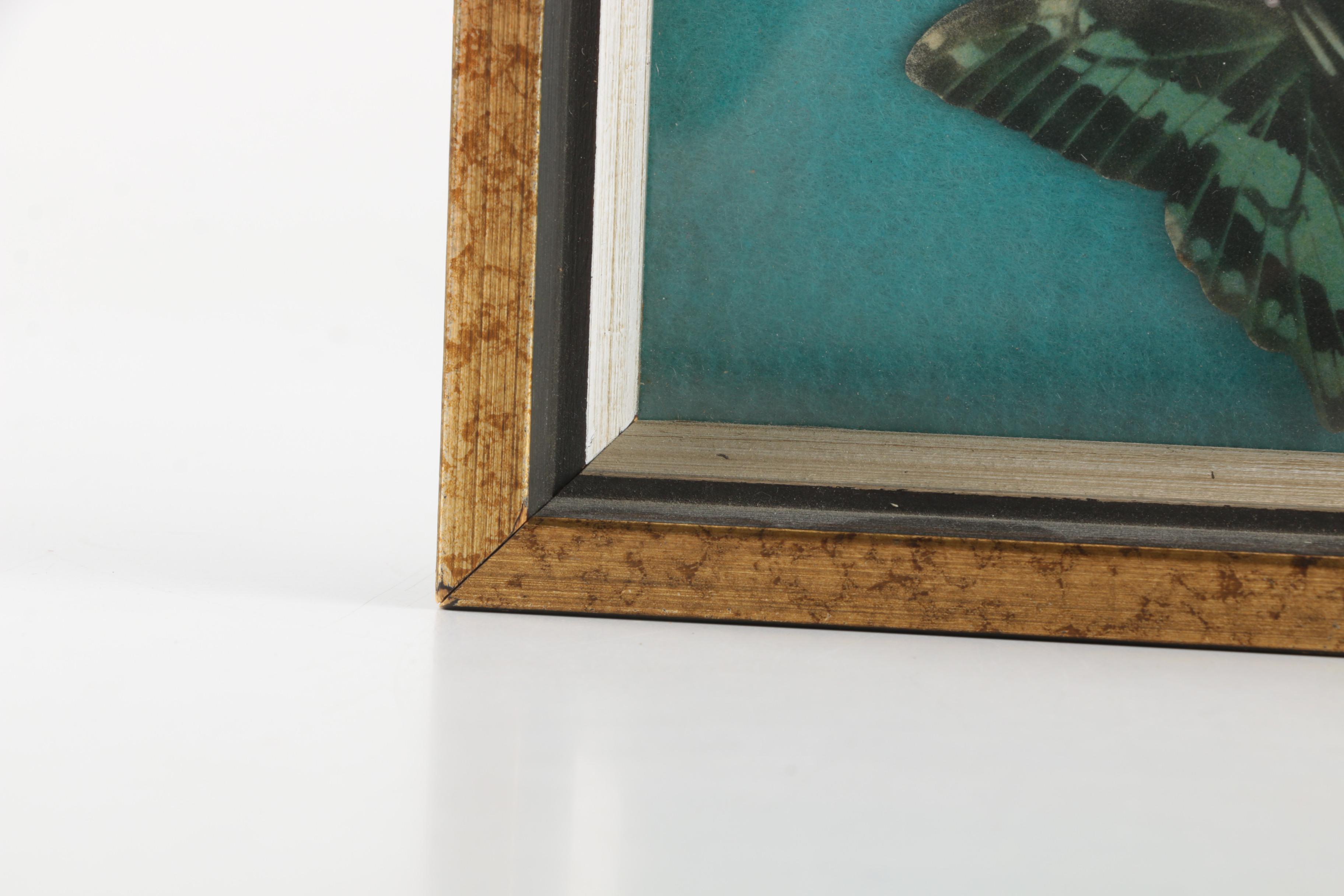 Assorted Decor Items