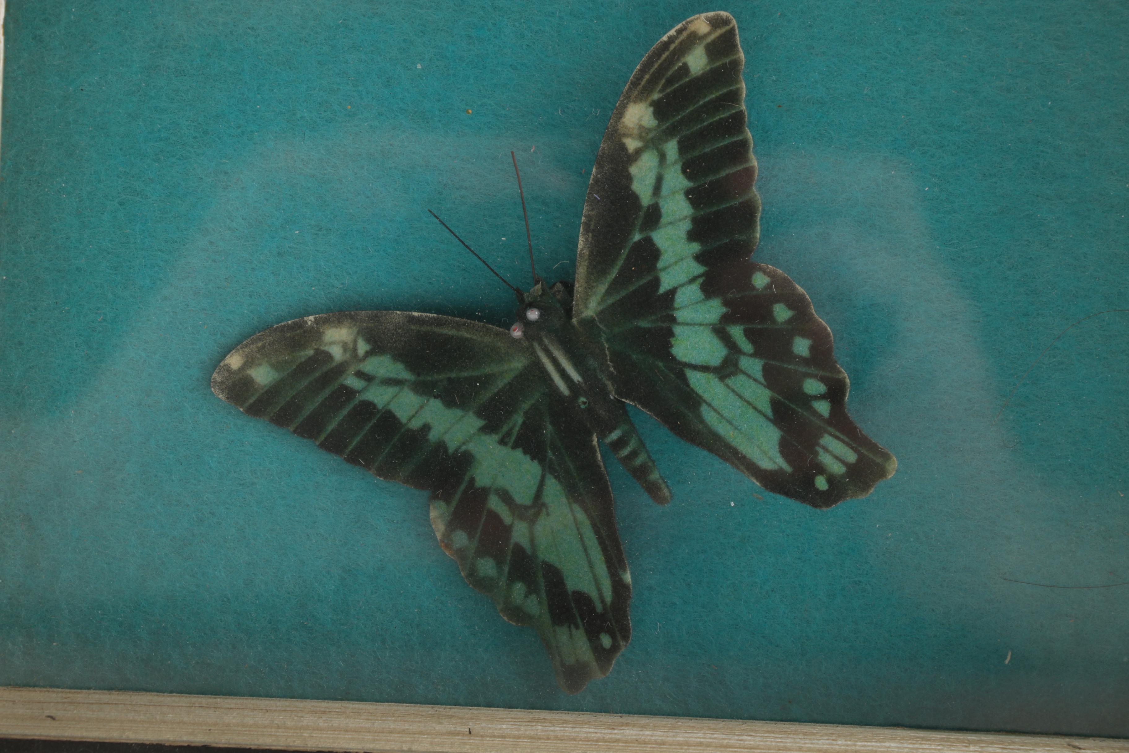 Assorted Decor Items