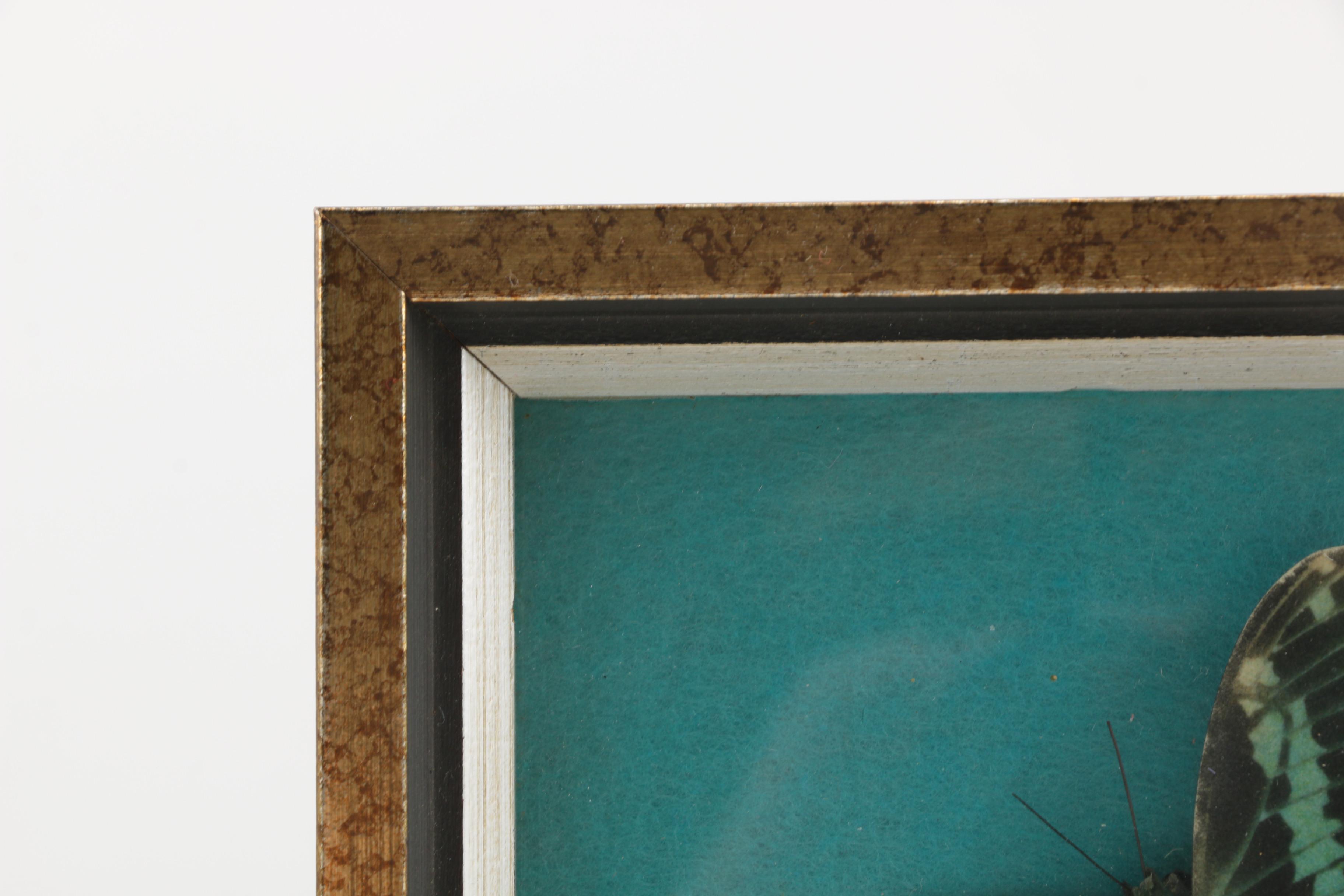 Assorted Decor Items