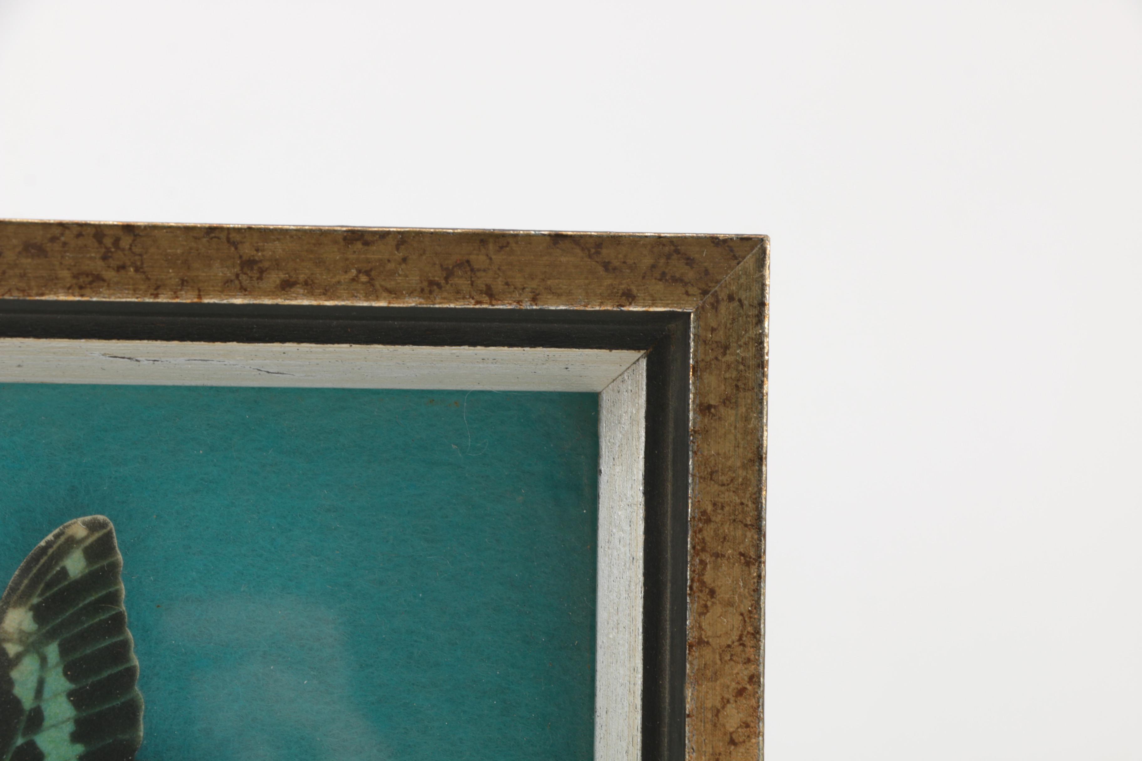 Assorted Decor Items