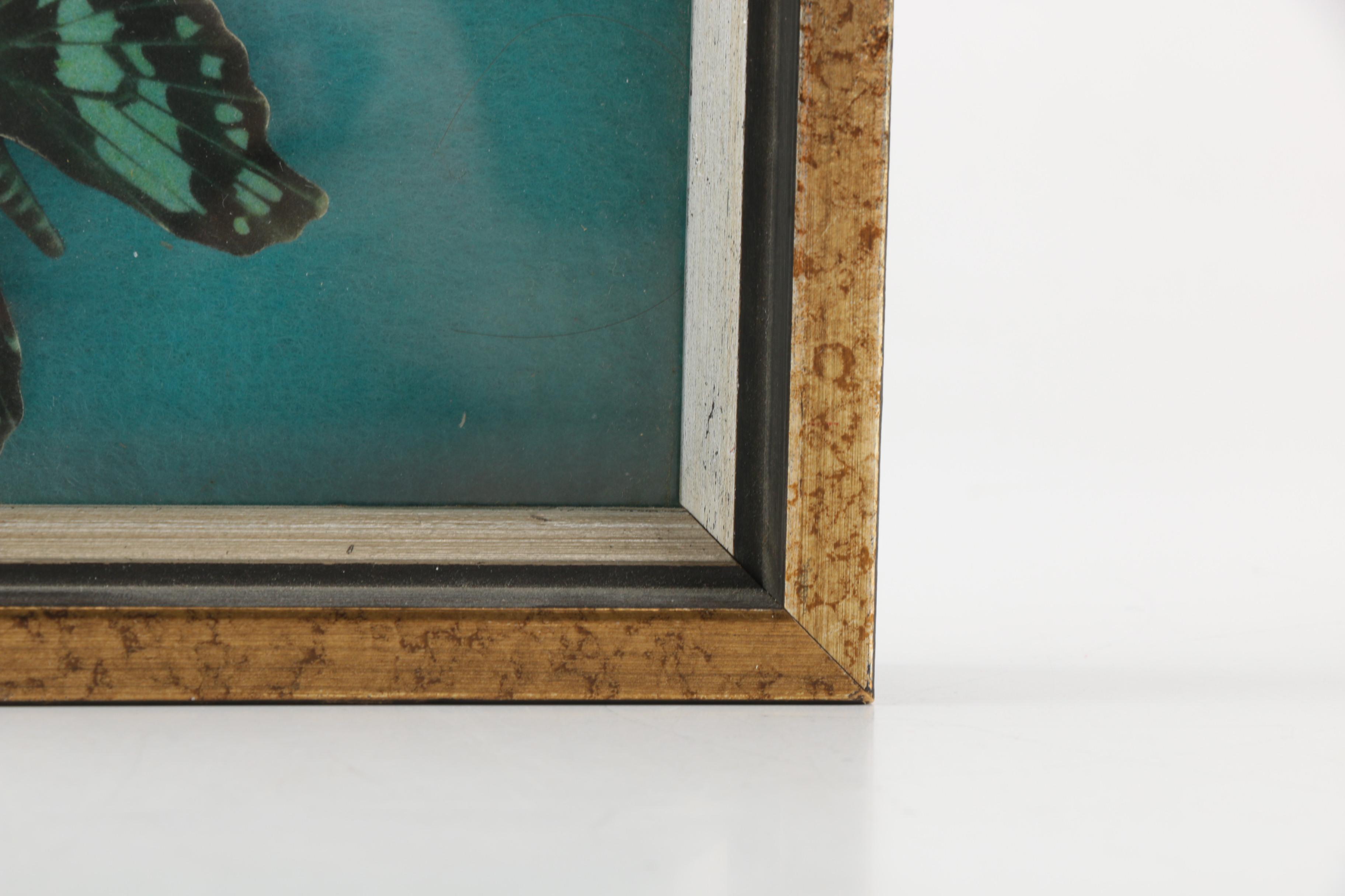 Assorted Decor Items