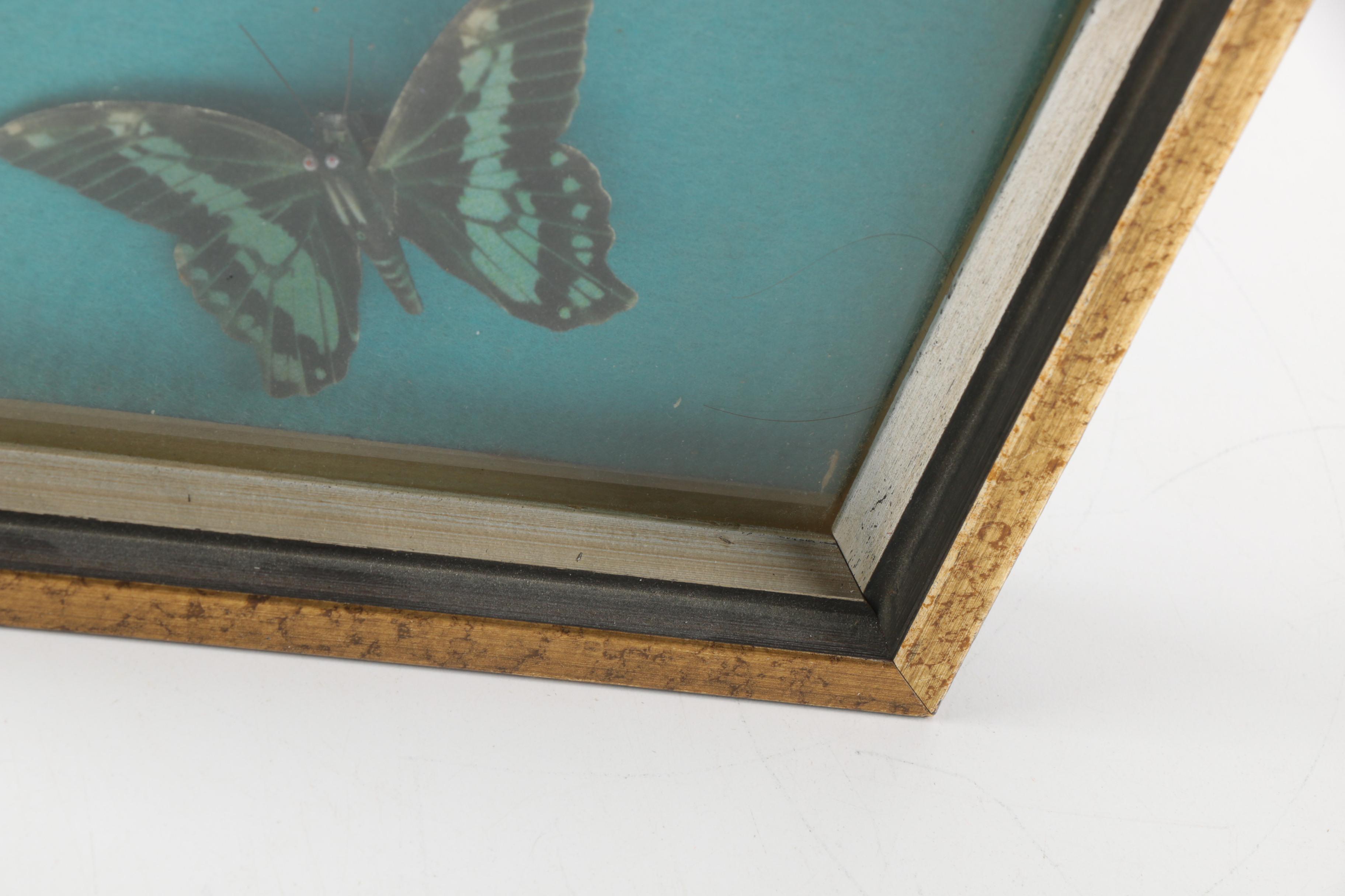 Assorted Decor Items