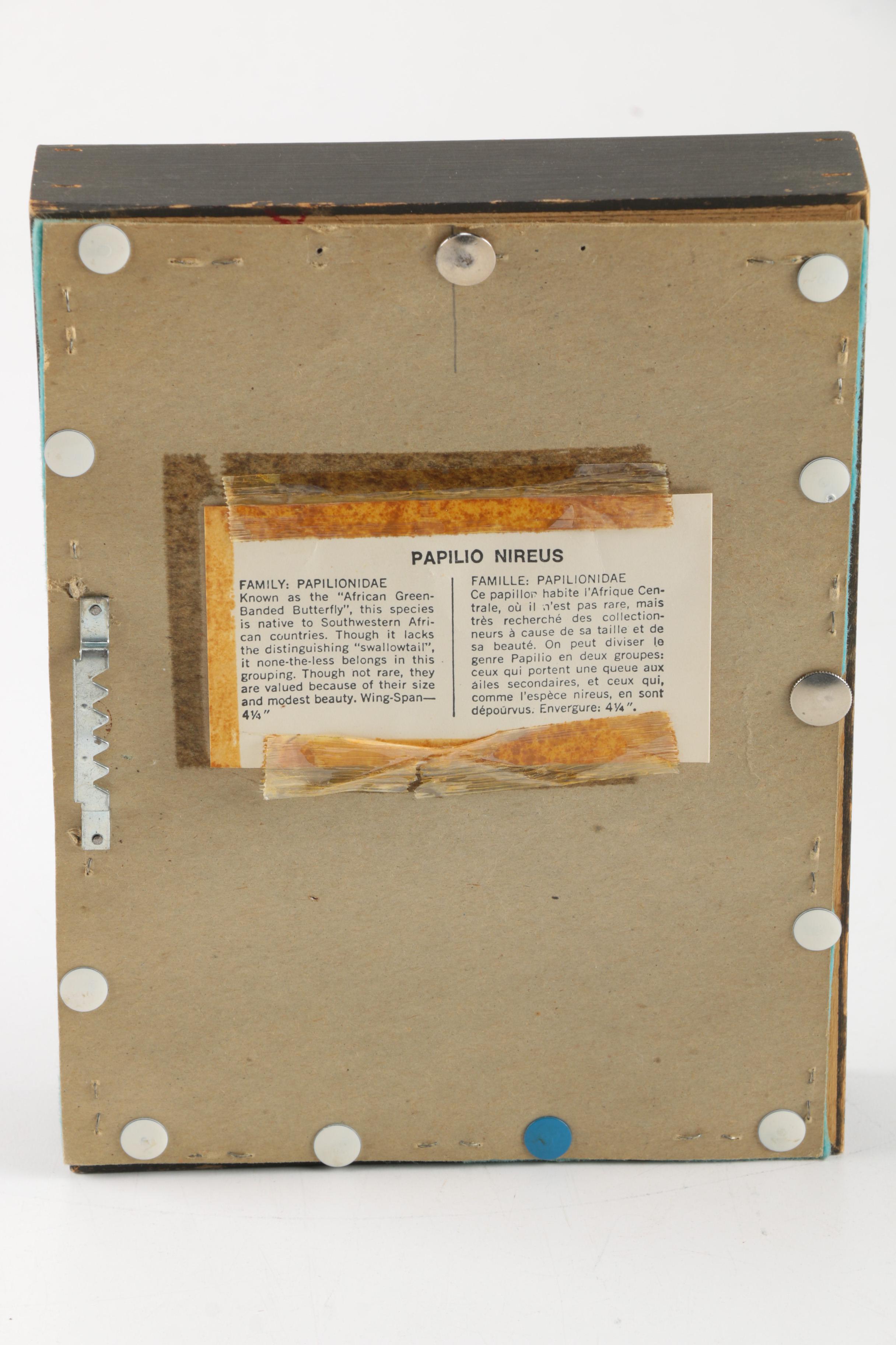 Assorted Decor Items