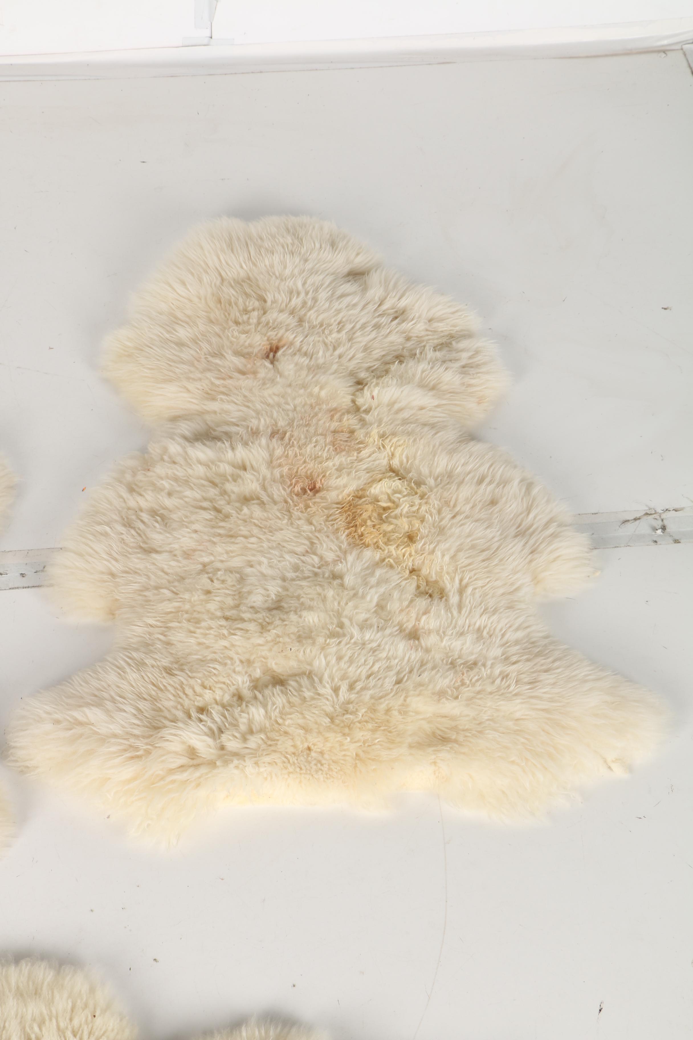 Lambskin Wool Accent Rugs