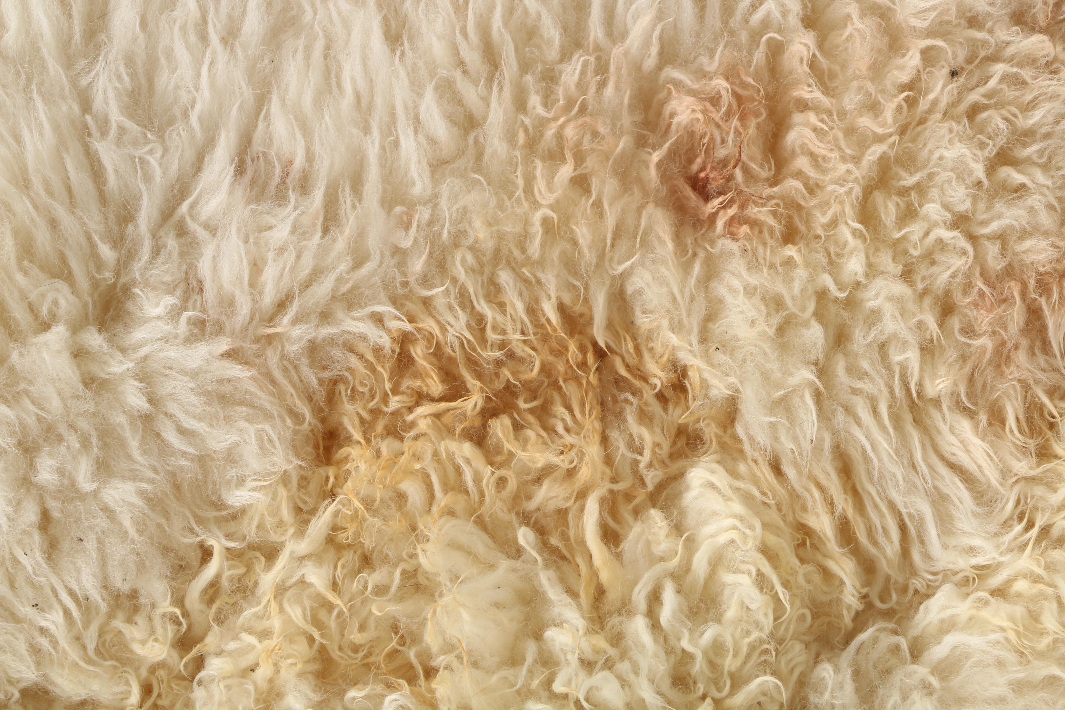 Lambskin Wool Accent Rugs
