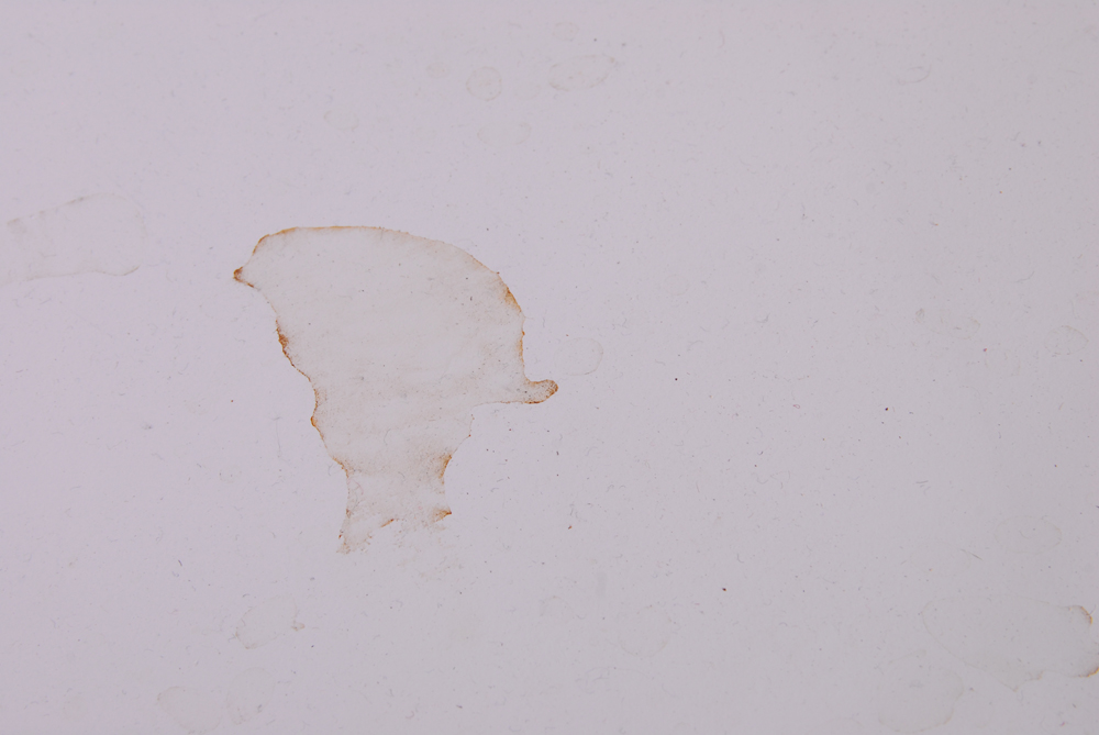 Oversize Crate and Barrel White Spindle Back Chairs