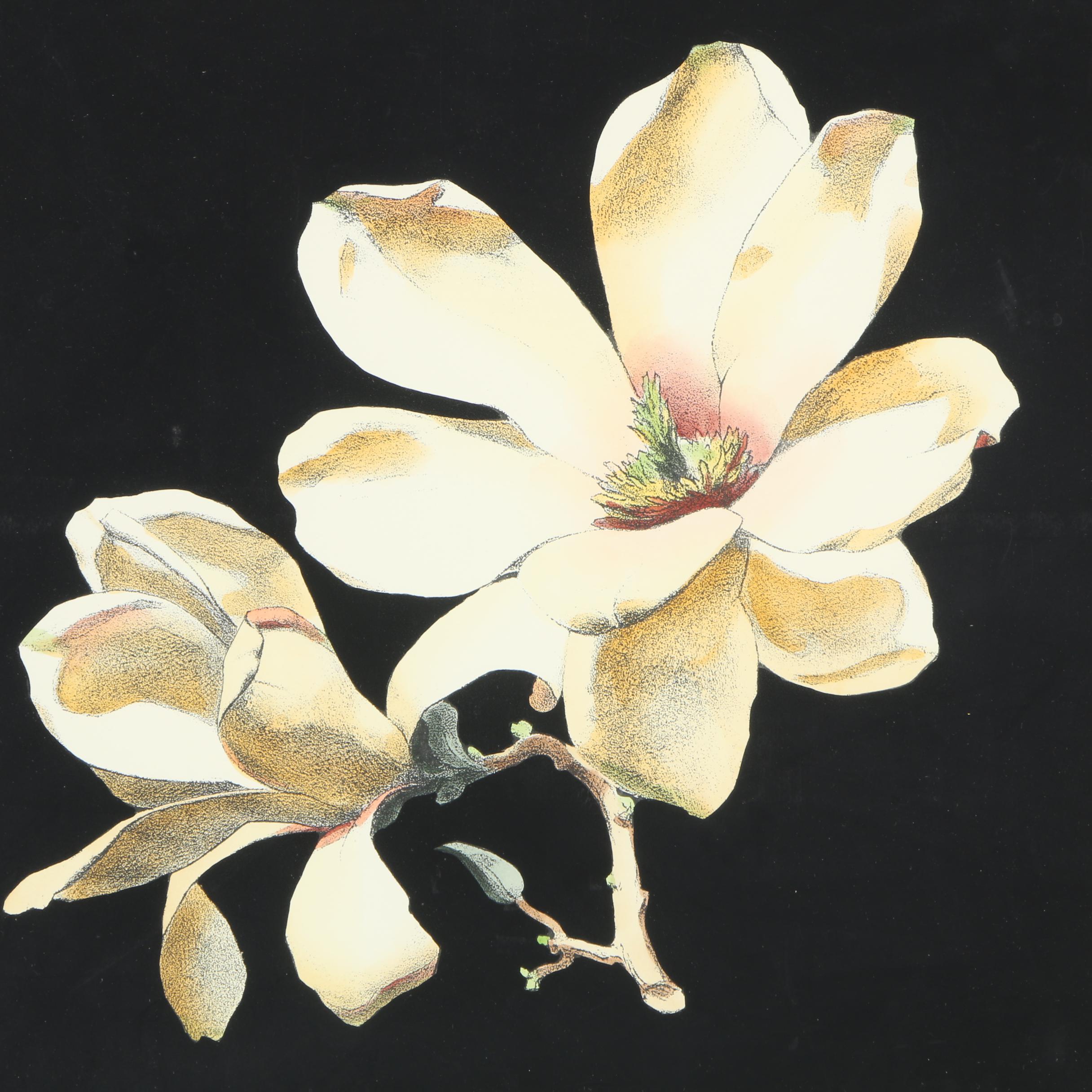 Framed Giclee After "Midnight Magnolias I" by Chaball Dussurgey