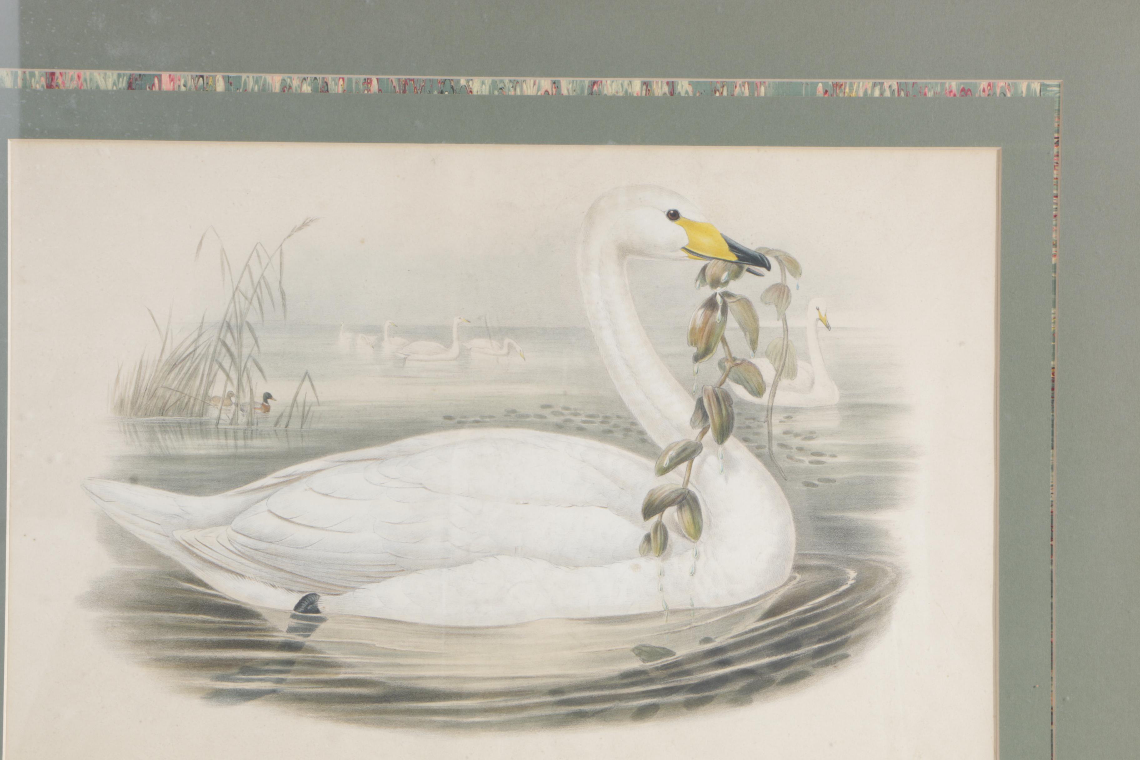 J. Wolf and H.C. Richter Hand Colored Lithograph on Paper