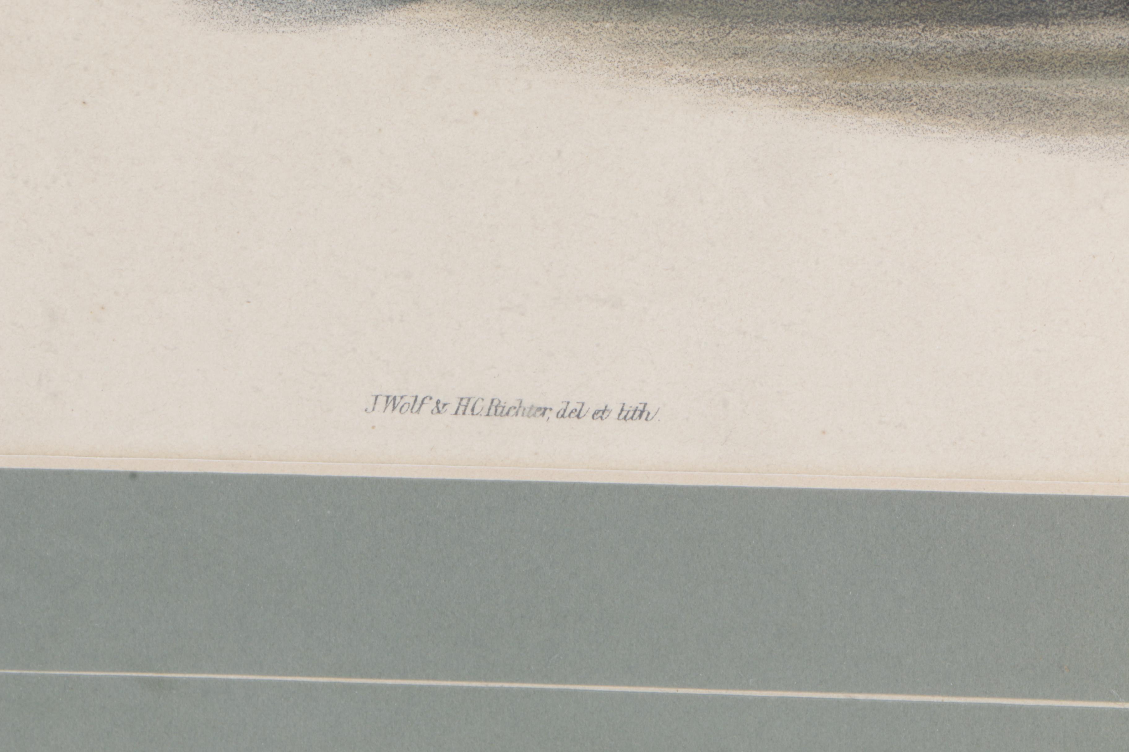 J. Wolf and H.C. Richter Hand Colored Lithograph on Paper