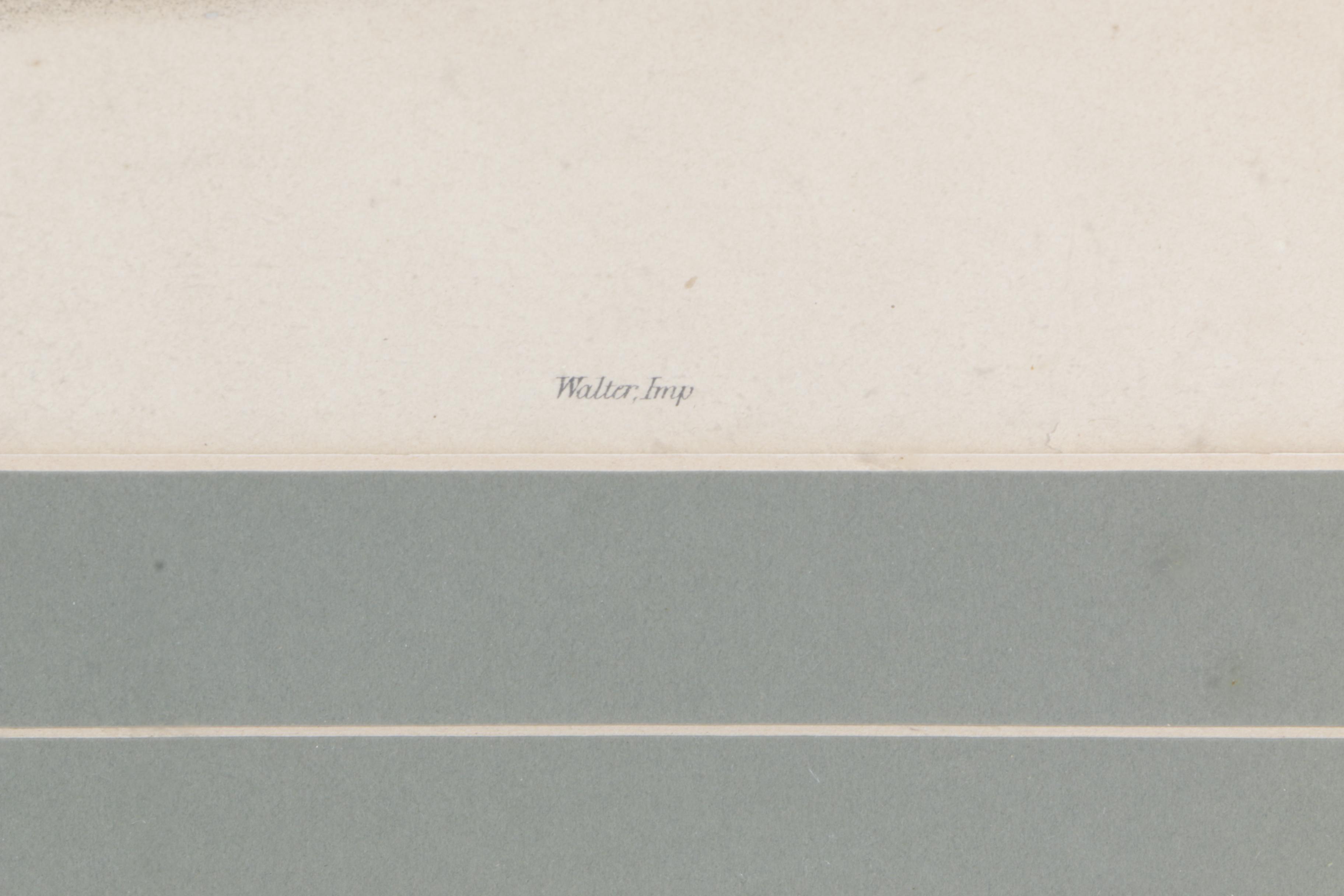 J. Wolf and H.C. Richter Hand Colored Lithograph on Paper