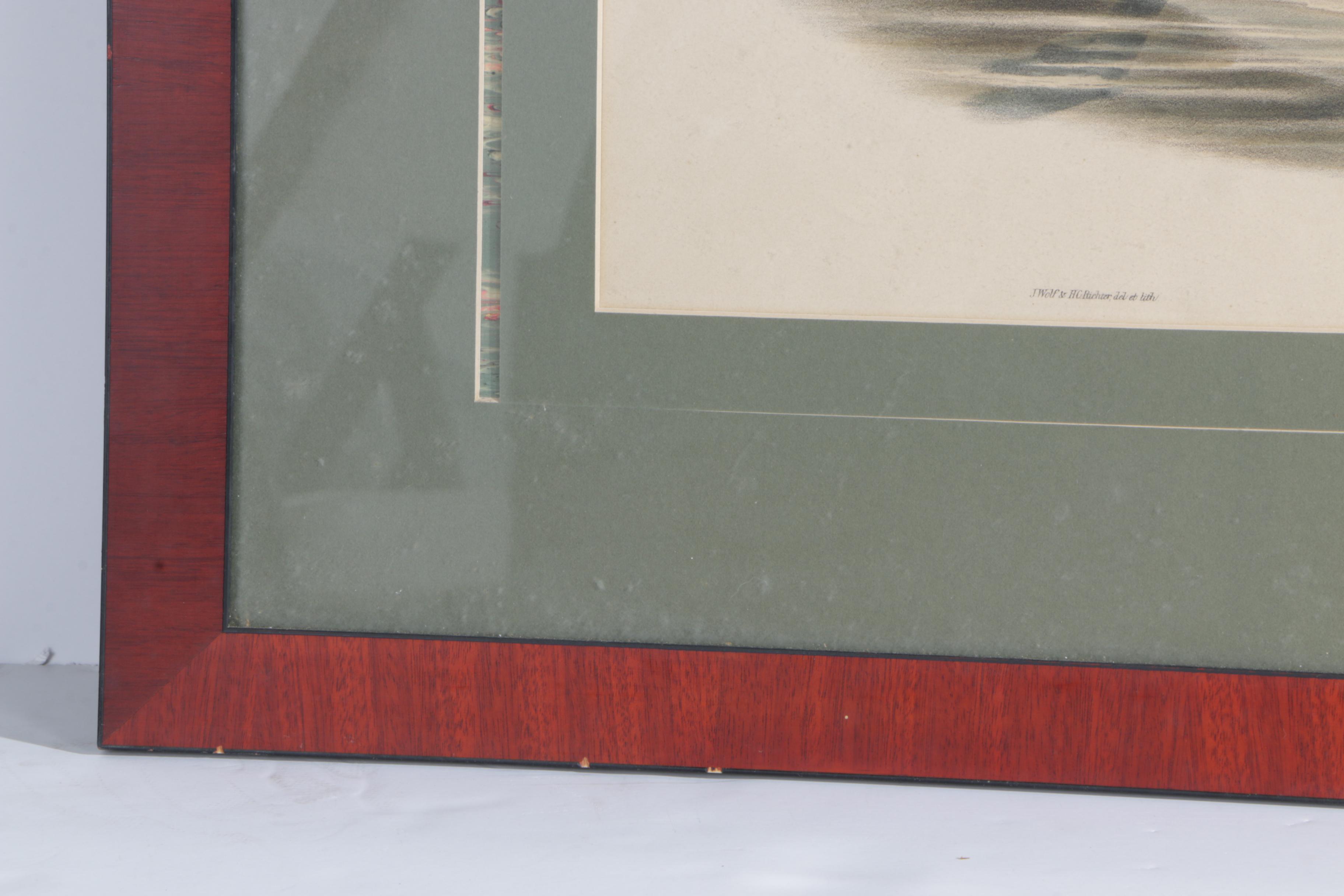 J. Wolf and H.C. Richter Hand Colored Lithograph on Paper