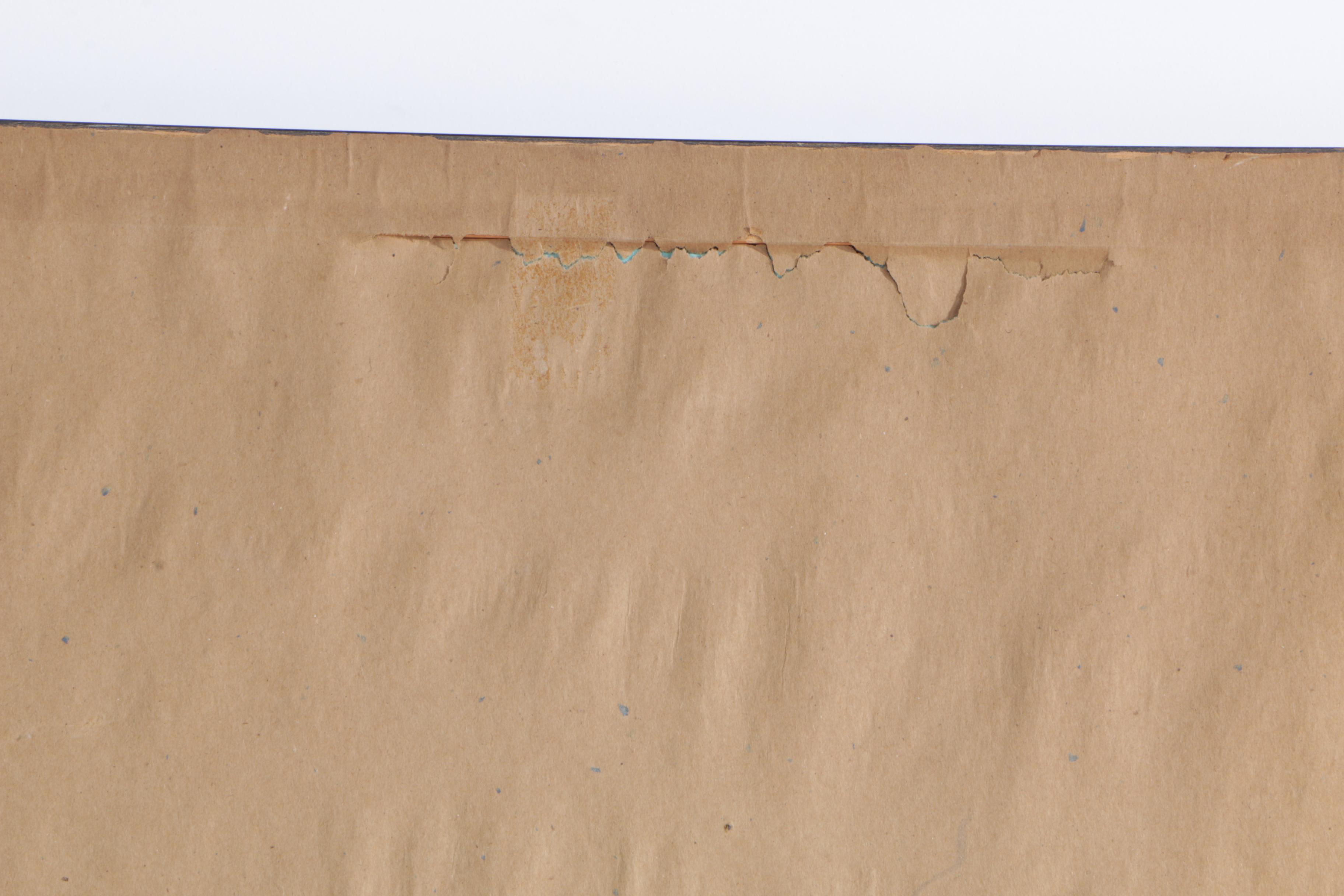 J. Wolf and H.C. Richter Hand Colored Lithograph on Paper