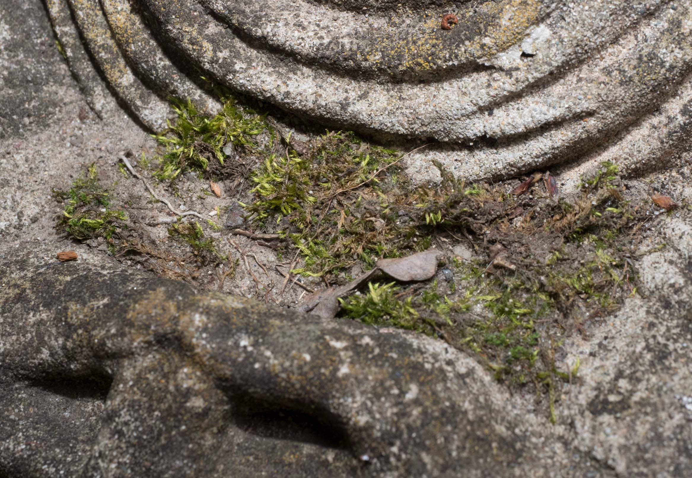 Vintage Cast Stone Buddha