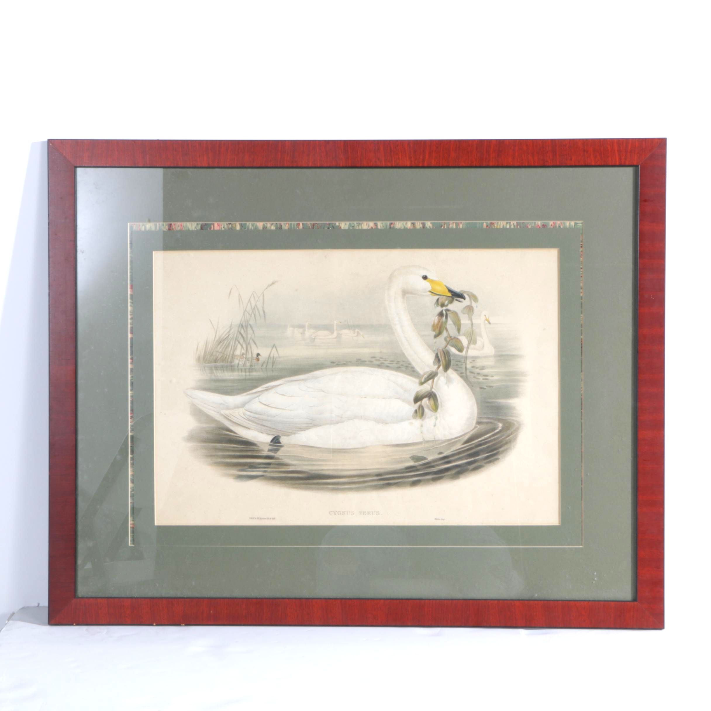 J. Wolf and H.C. Richter Hand Colored Lithograph on Paper