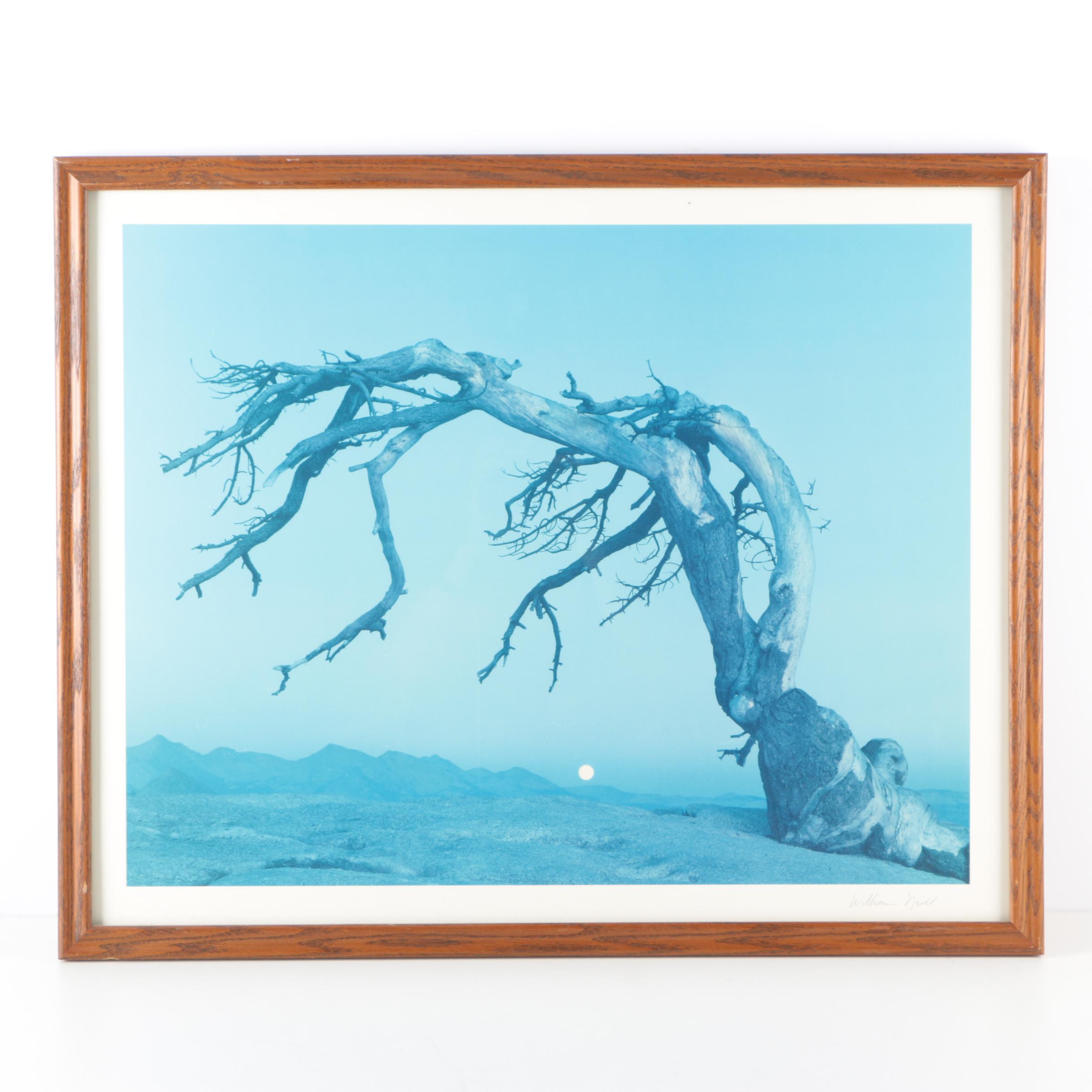 William Neill Offset Lithograph of a Desert Landscape