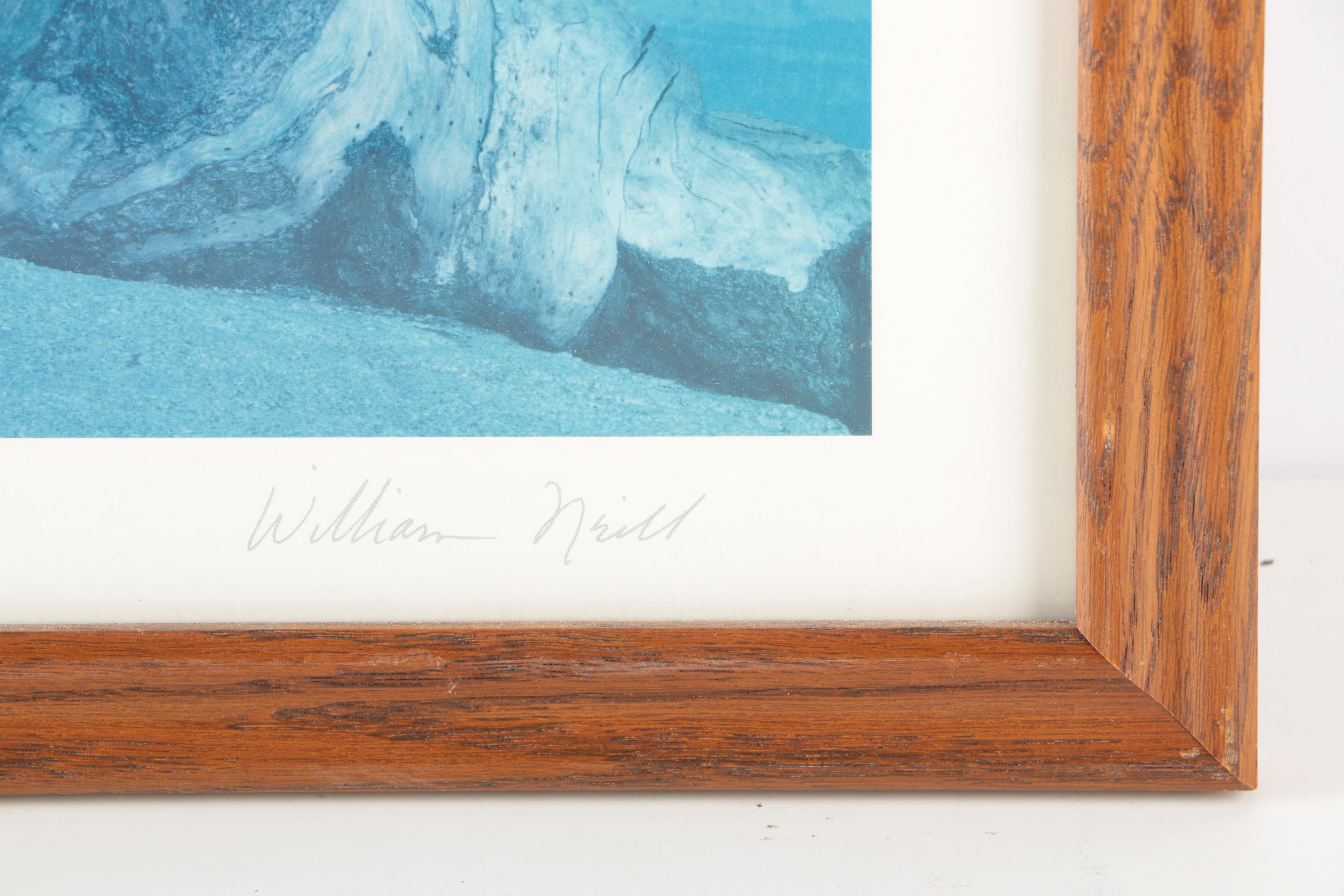 William Neill Offset Lithograph of a Desert Landscape