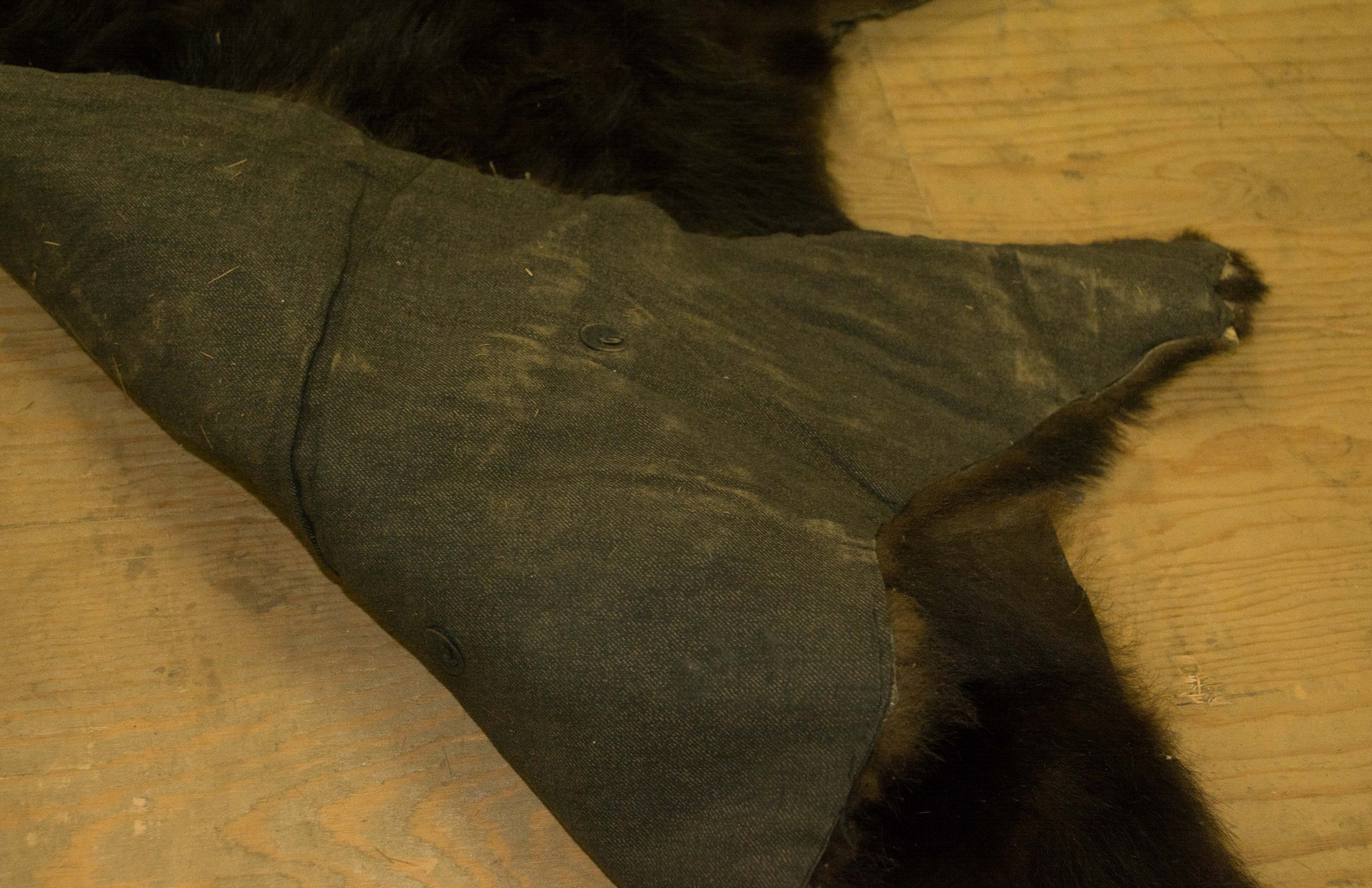Taxidermy Black Bear Pelt
