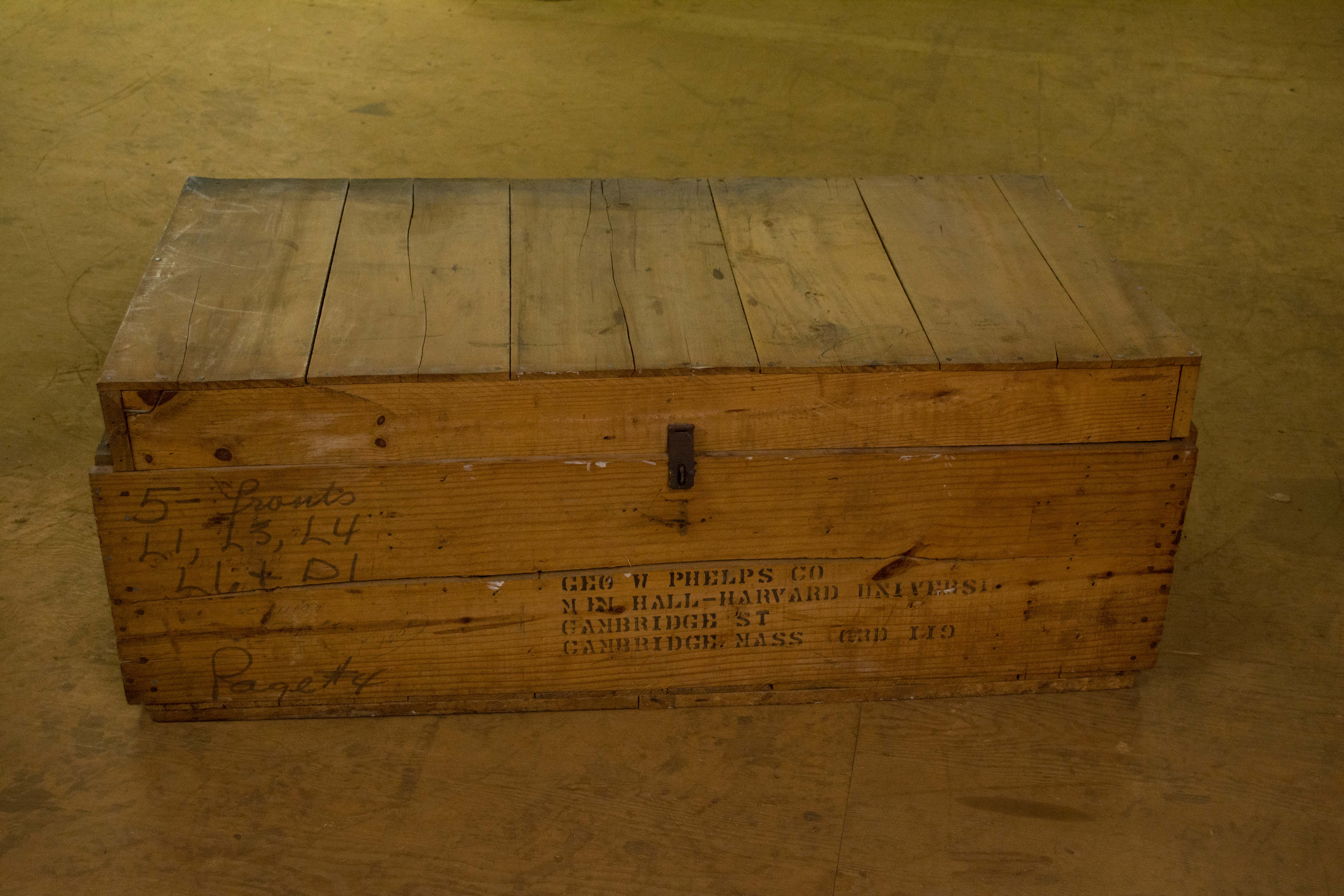 Phelps Co. Stenciled Pine Crate or Trunk