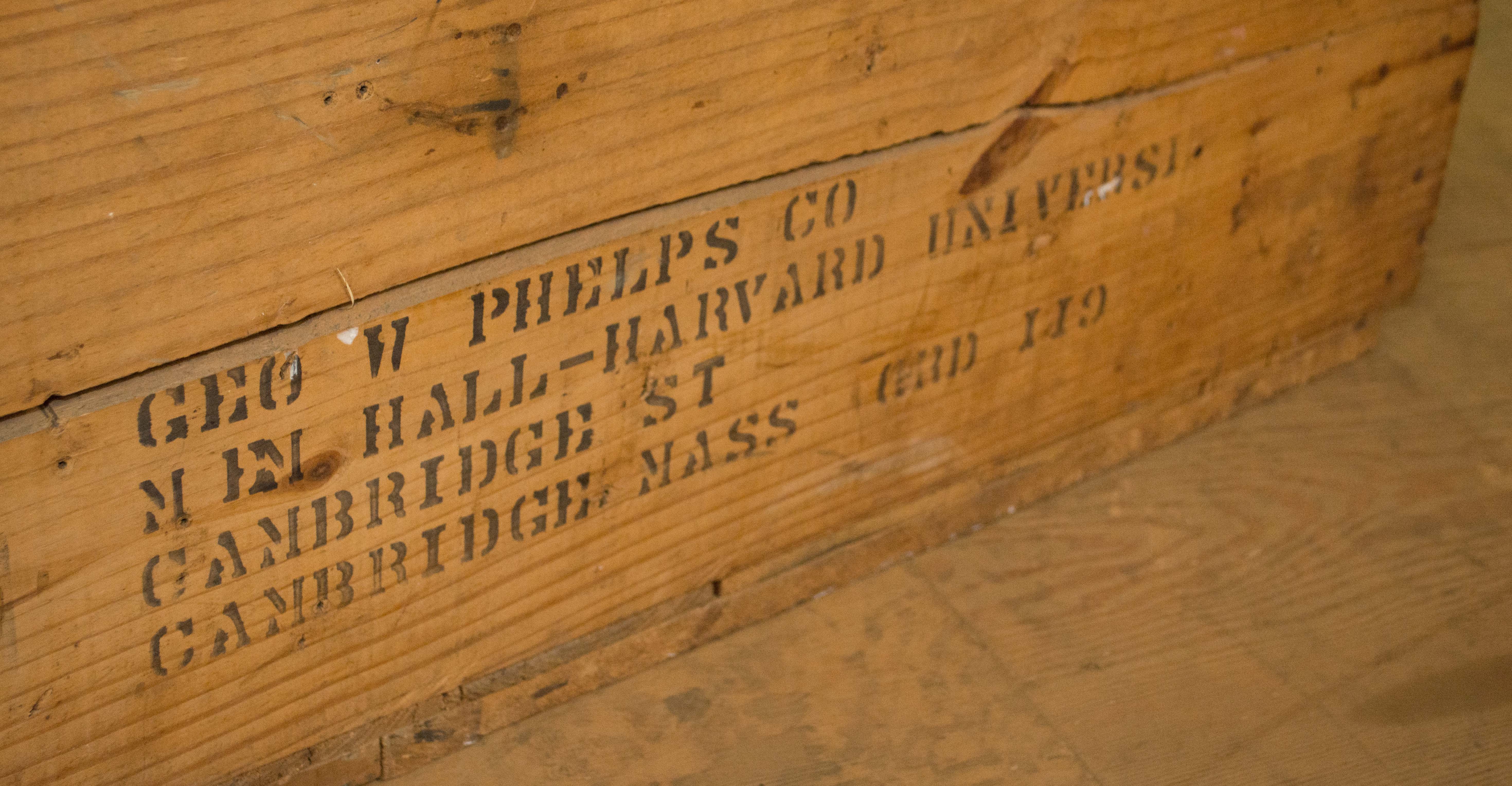 Phelps Co. Stenciled Pine Crate or Trunk