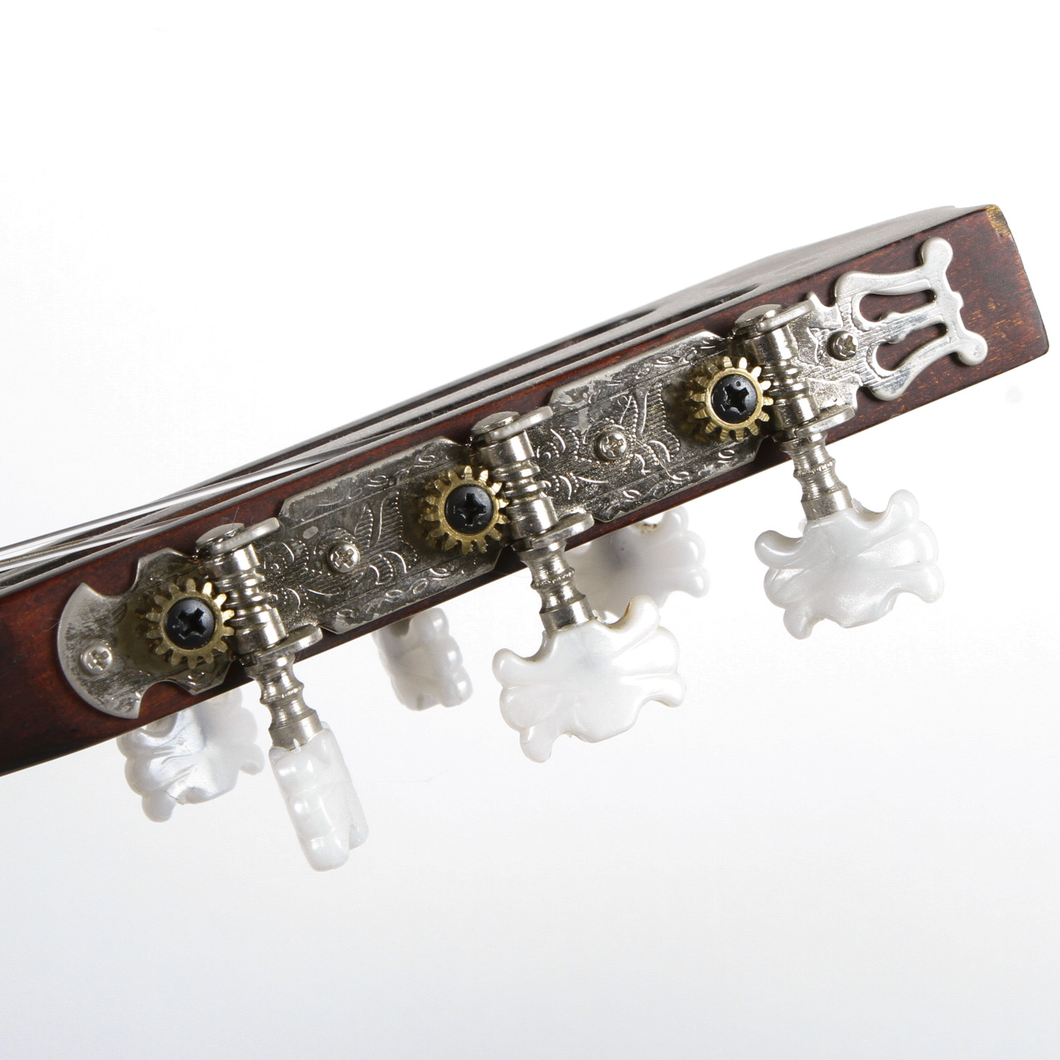 Durango Guitar and Case