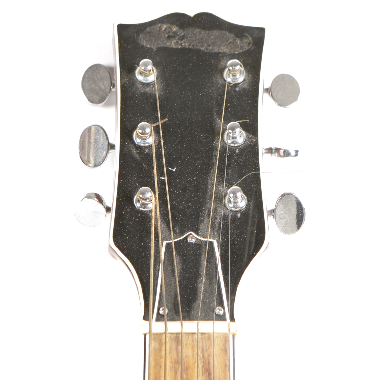 Conqueror Acoustic Guitar and Case