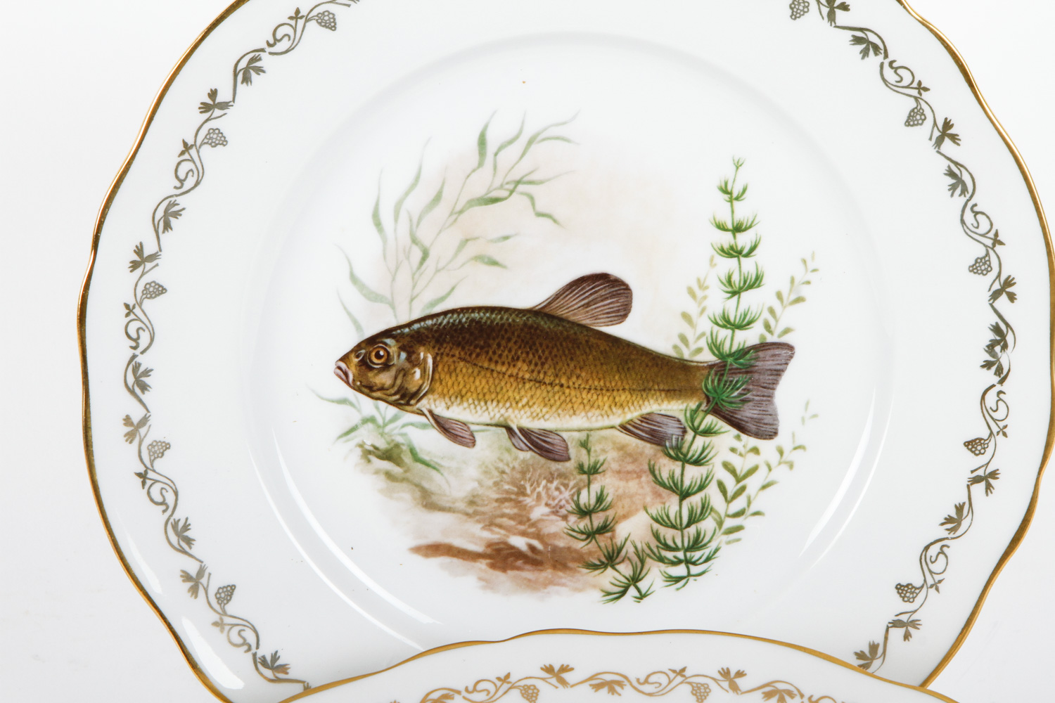 Set of Berry Haute Porcelain Fish Plates