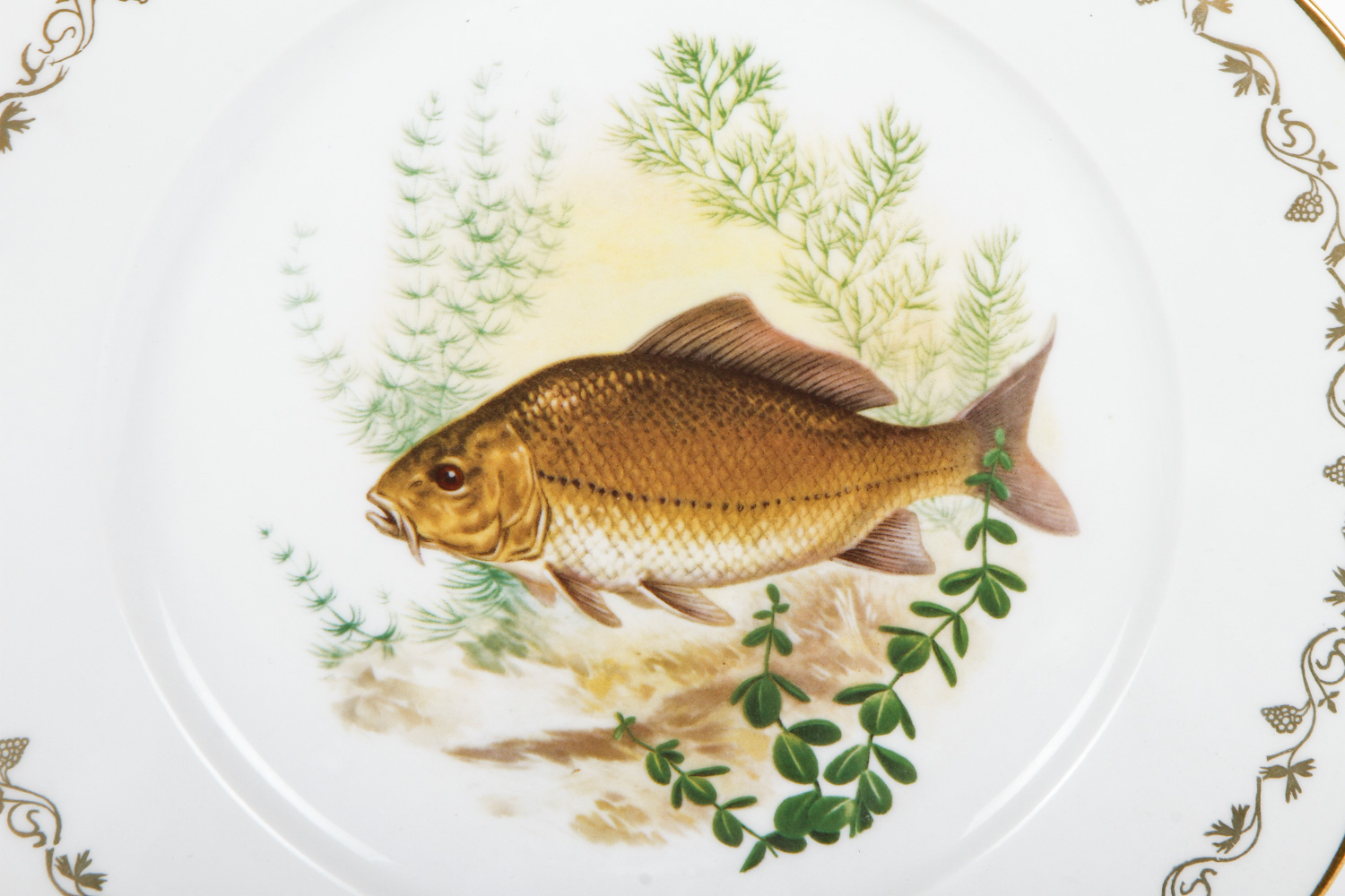 Set of Berry Haute Porcelain Fish Plates
