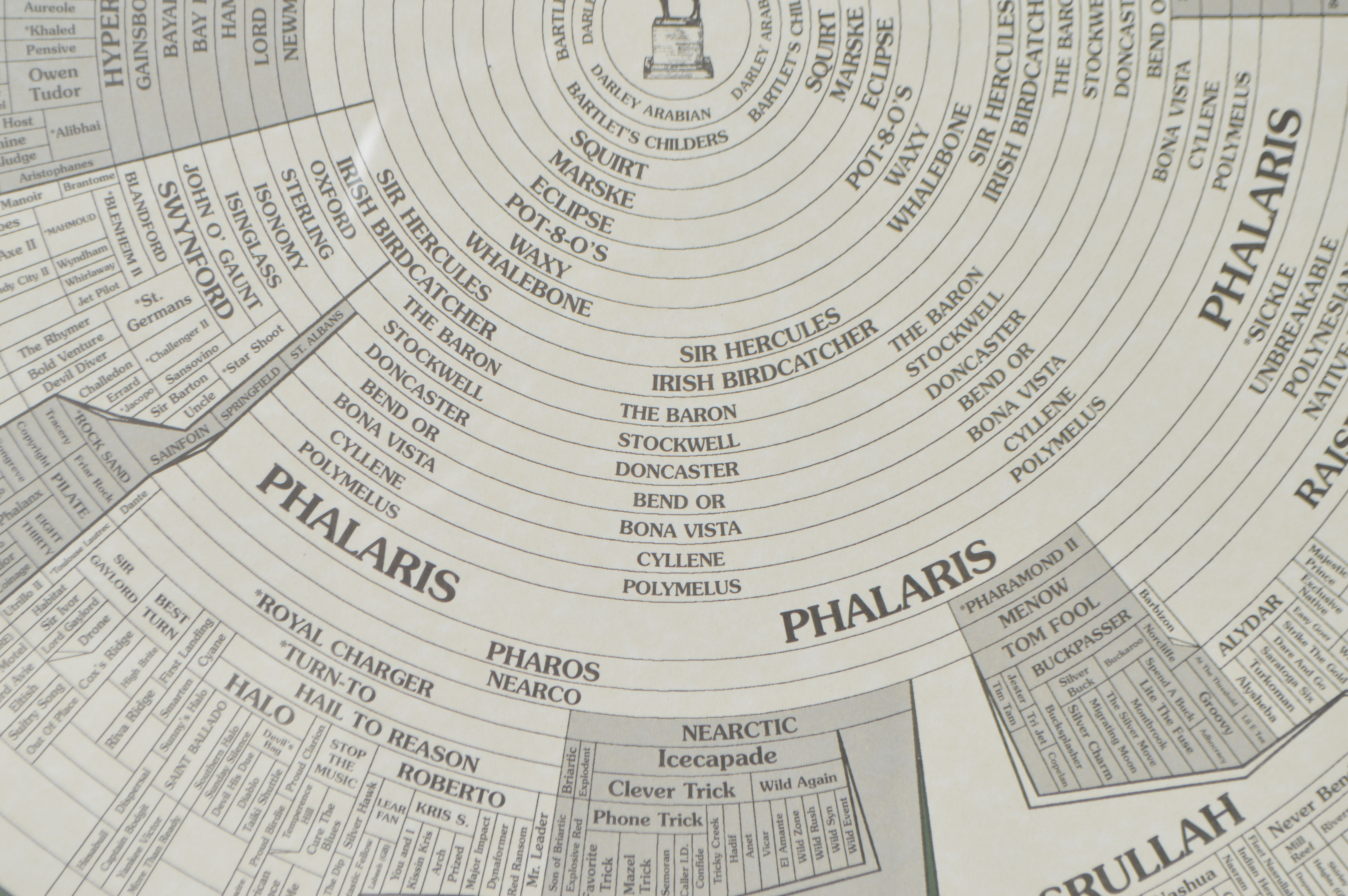 Offset Lithograph of "Prominent Sire Lines in America 2000" After Scott Dudley