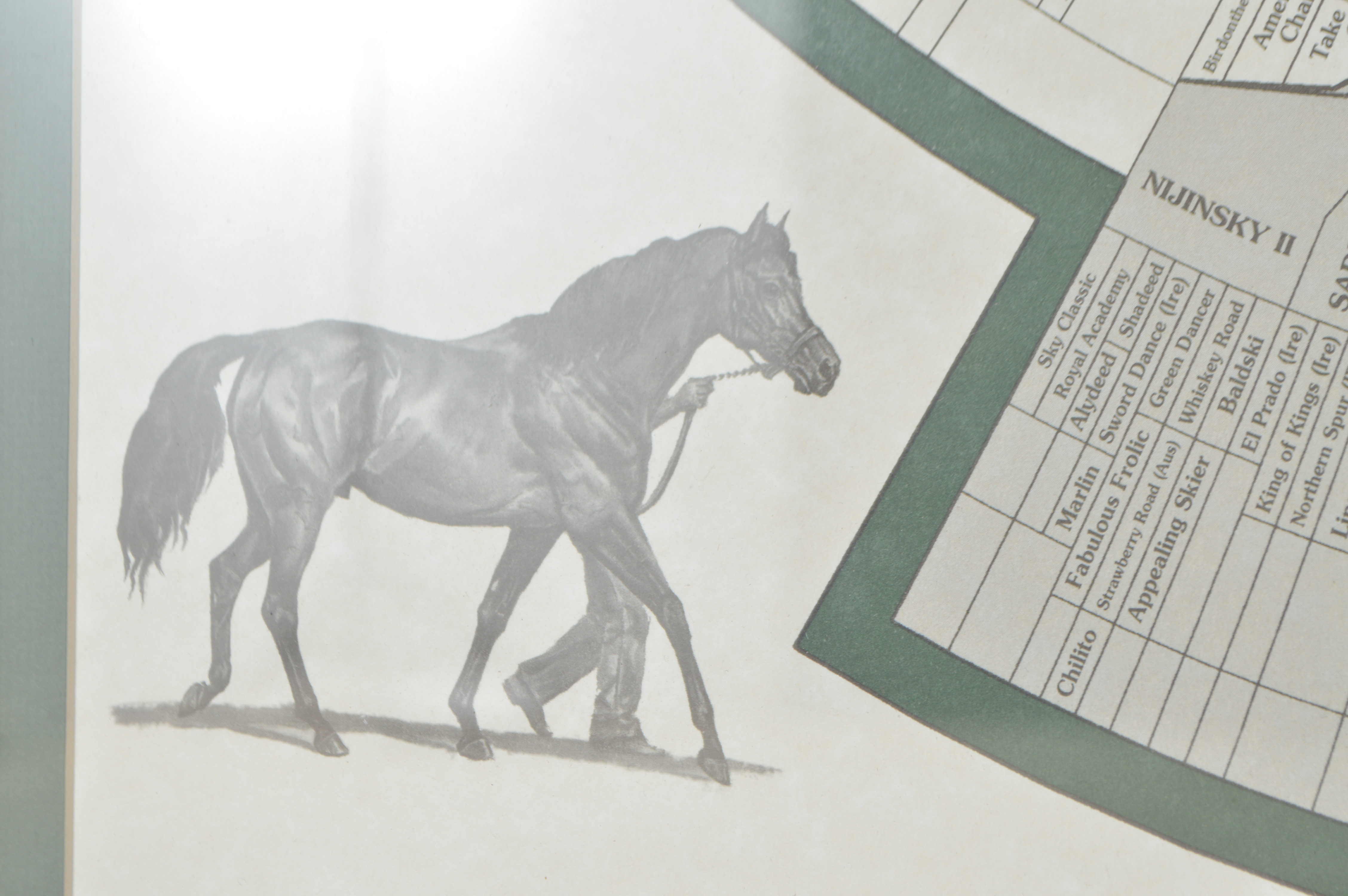 Offset Lithograph of "Prominent Sire Lines in America 2000" After Scott Dudley
