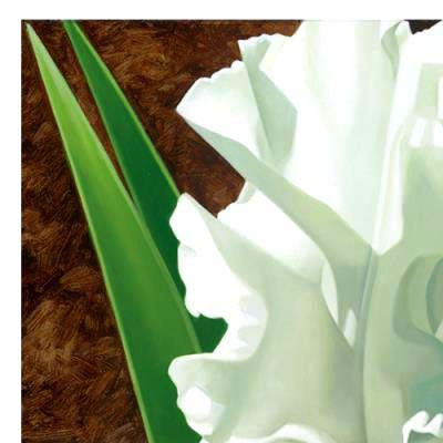 Brian Davis Limited Edition Giclee "Solitary White Iris"