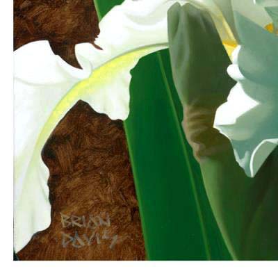 Brian Davis Limited Edition Giclee "Solitary White Iris"