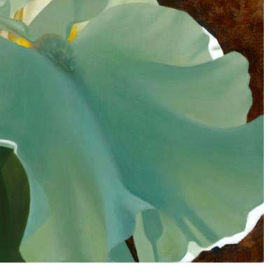 Brian Davis Limited Edition Giclee "Solitary White Iris"