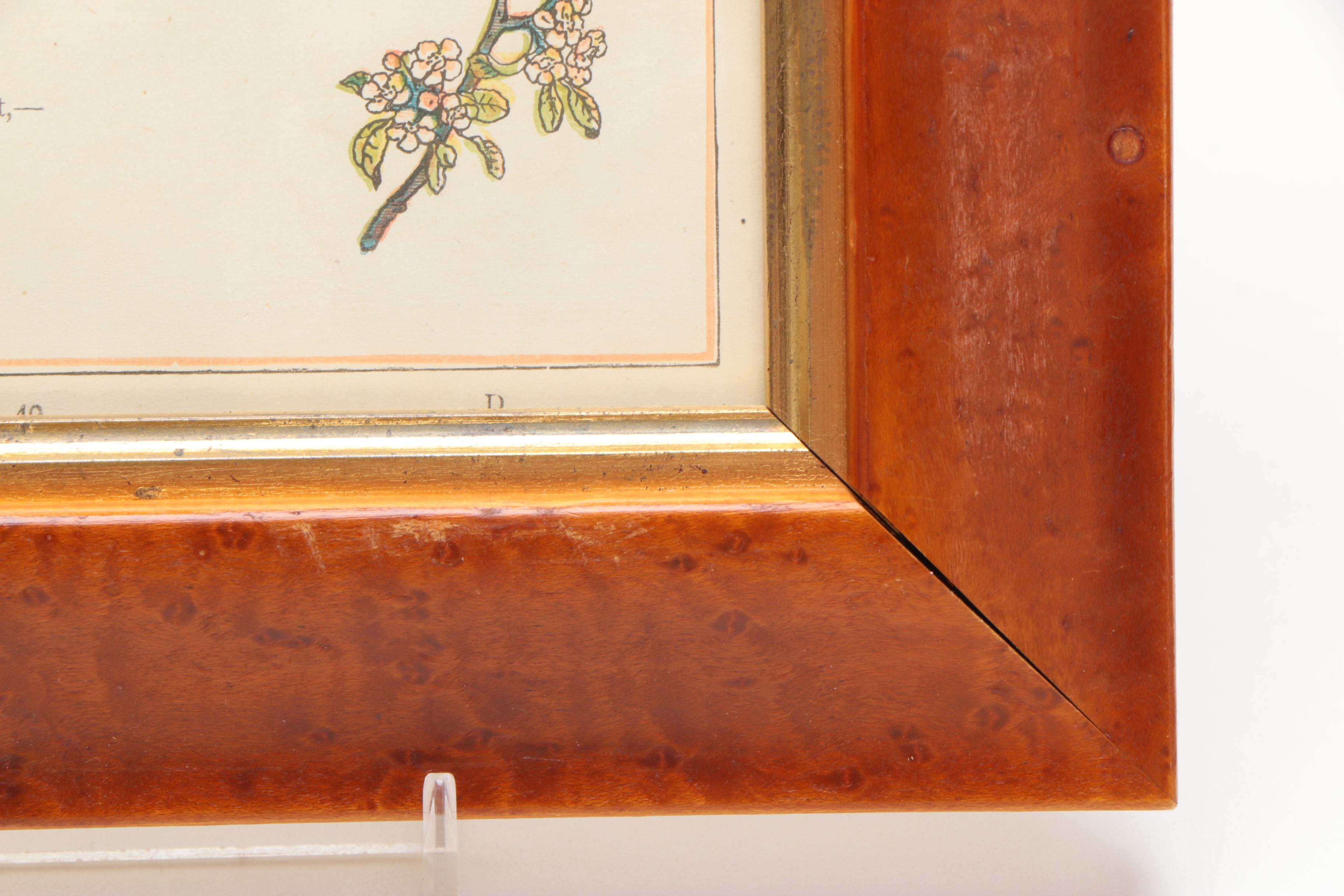 Kate Greenaway Lithograph Book Illustration with Poem "Tommy"