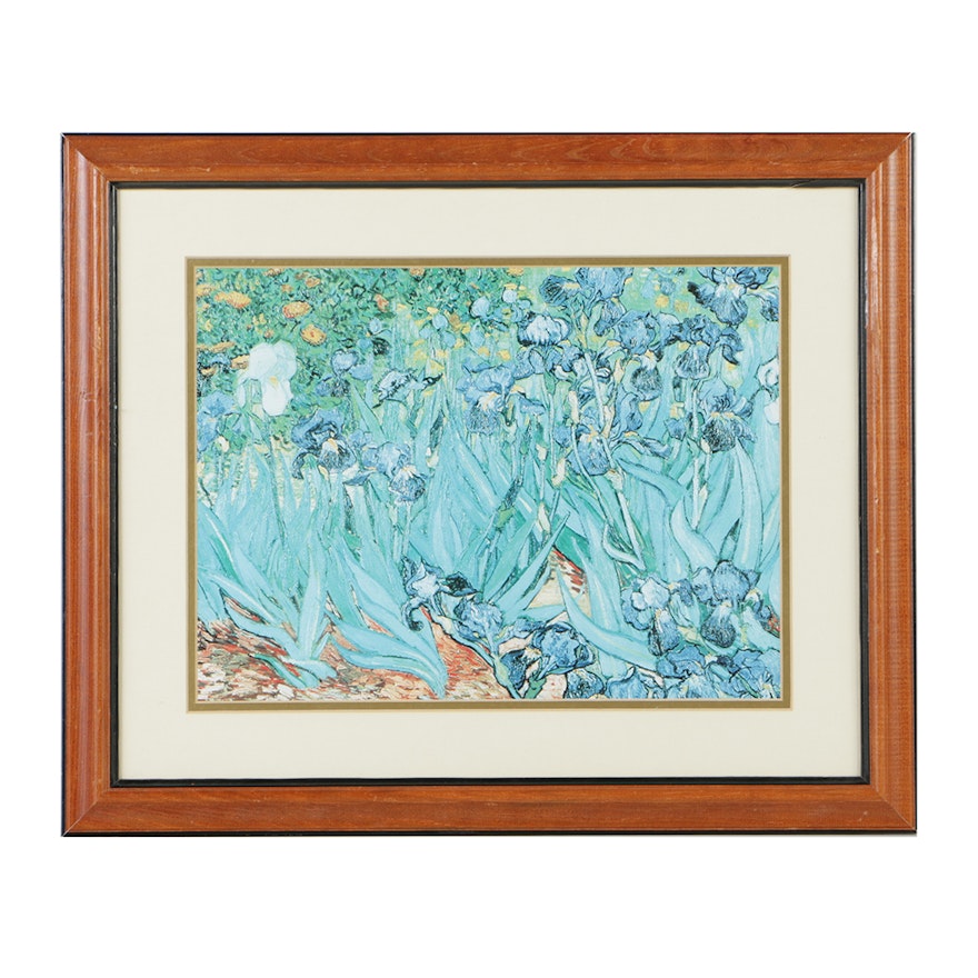 Offset Lithograph of Van Gogh's "Irises, Sain-Remy"