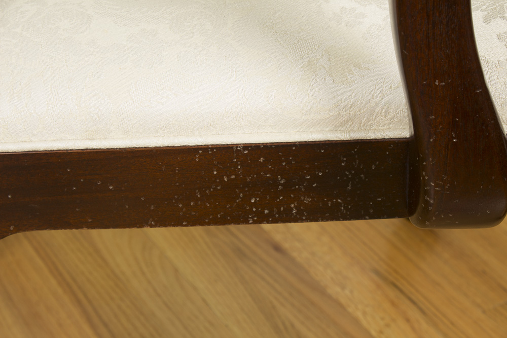 Queen Anne Style Dining Chairs by Hickory Manufacturing Co.